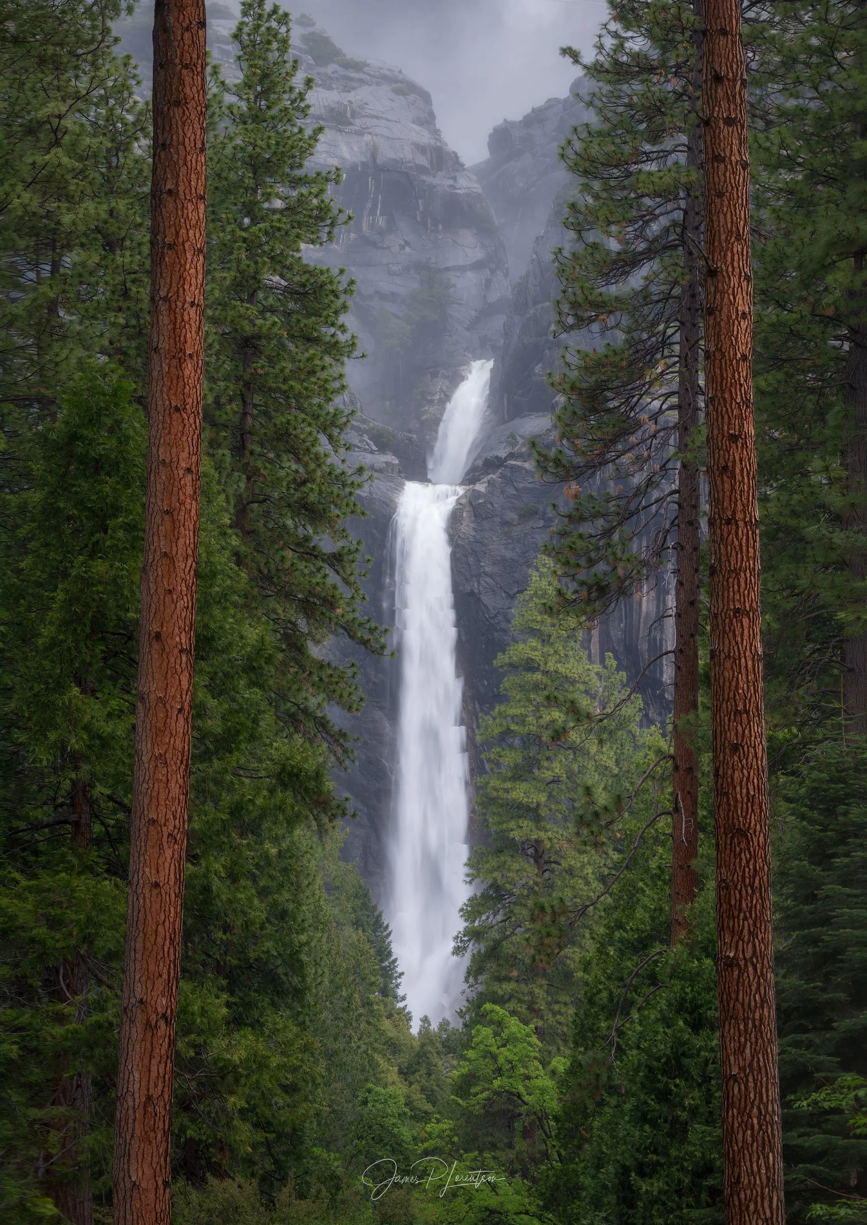 JamesL_Z8P3565-Edit.jpg
