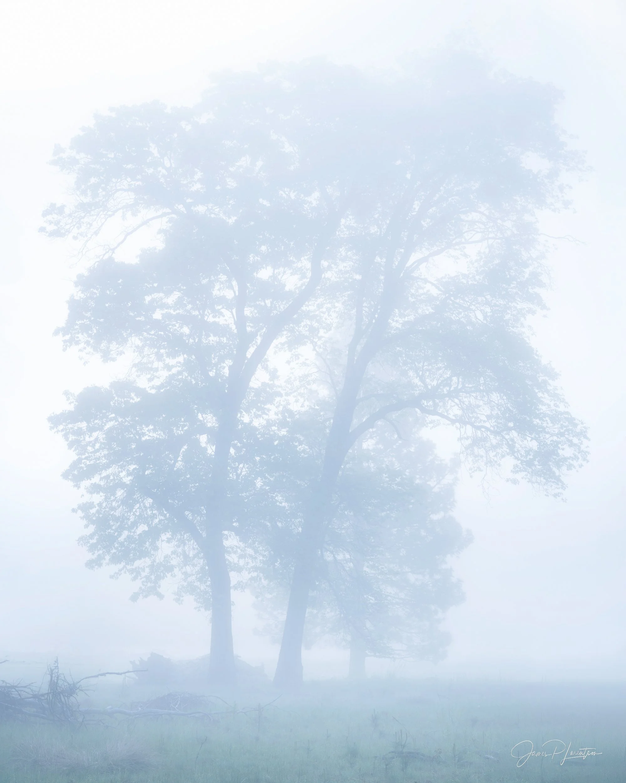 _Z8P4048-Edit-Edit.jpg
