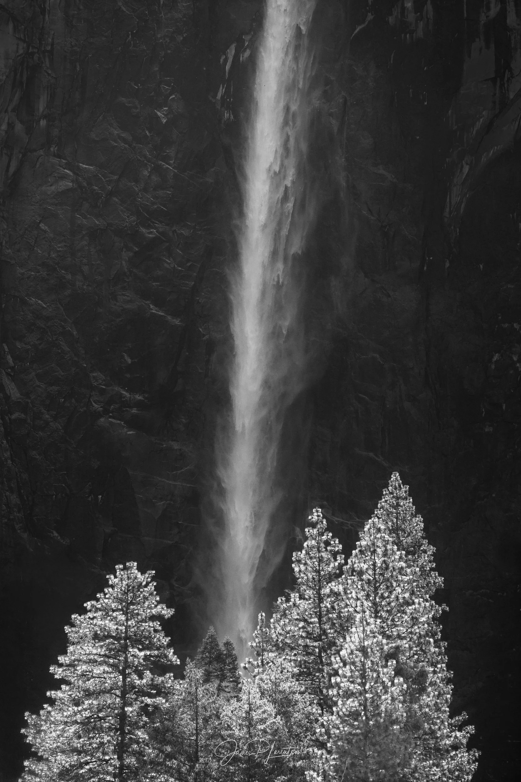 JamesL_Z8P2246-Edit_NoiegaInspo1.jpg