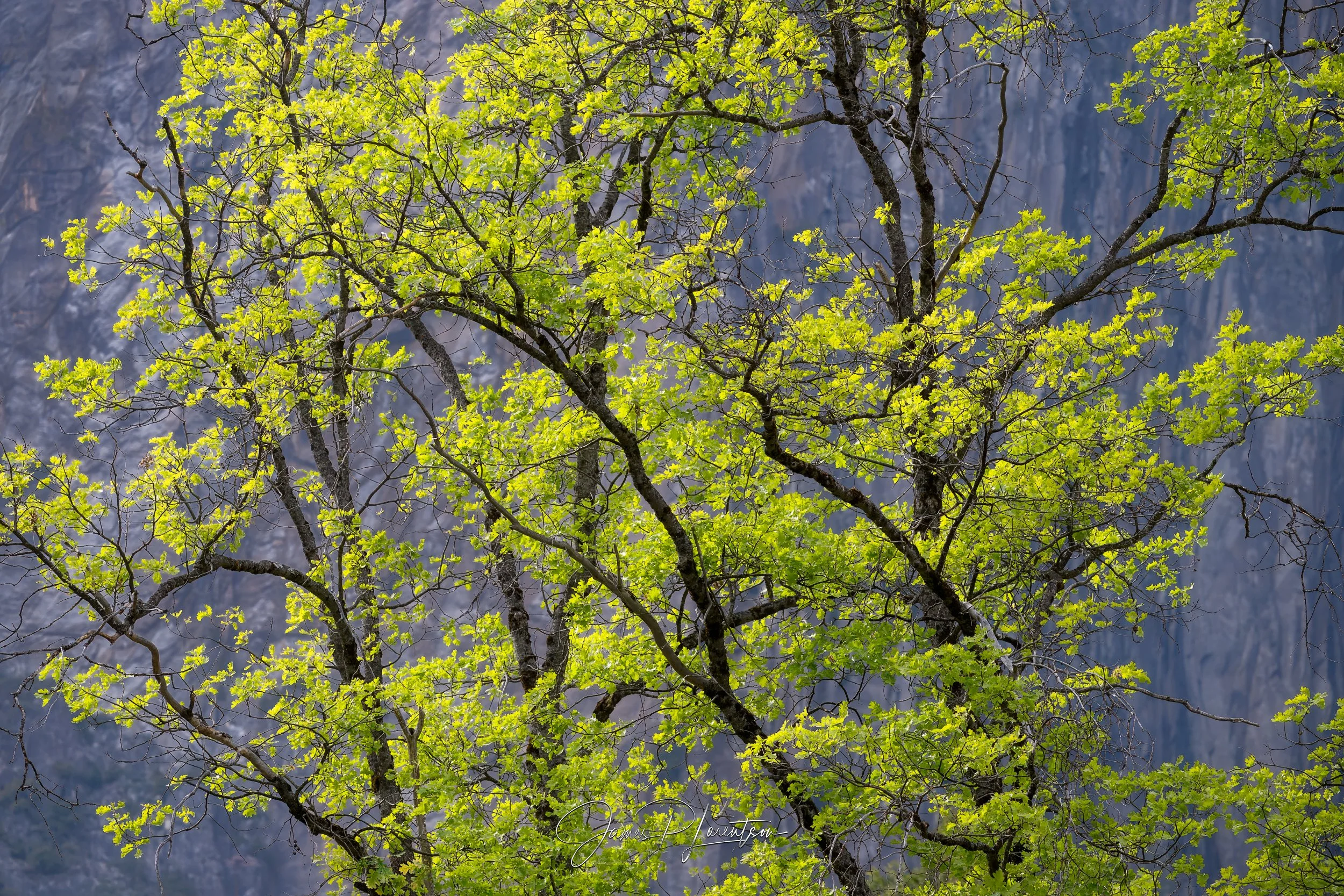 _Z8P2360-Edit_2500_Granite&Green.jpg