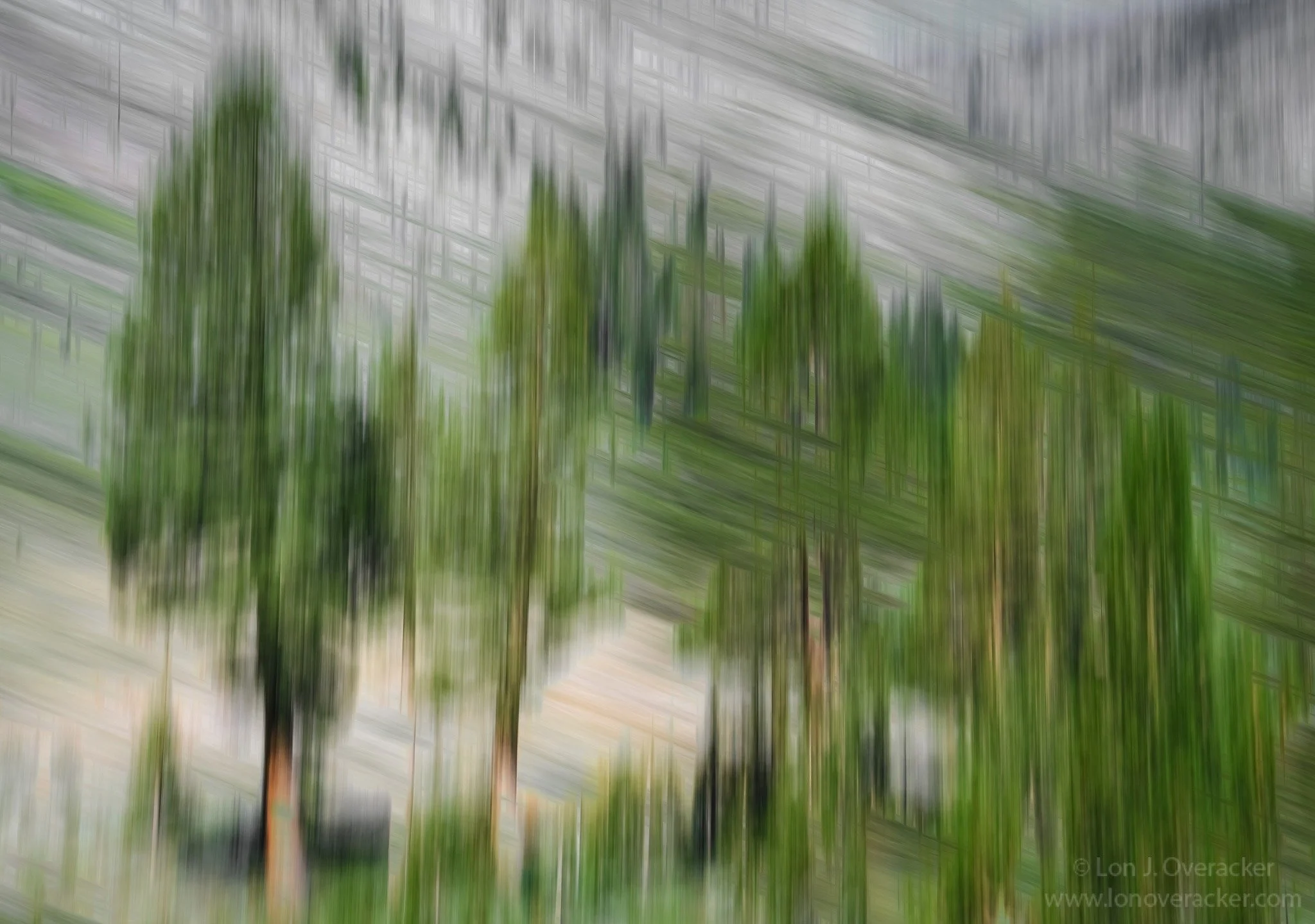 lon_icm_treesandgray.jpg