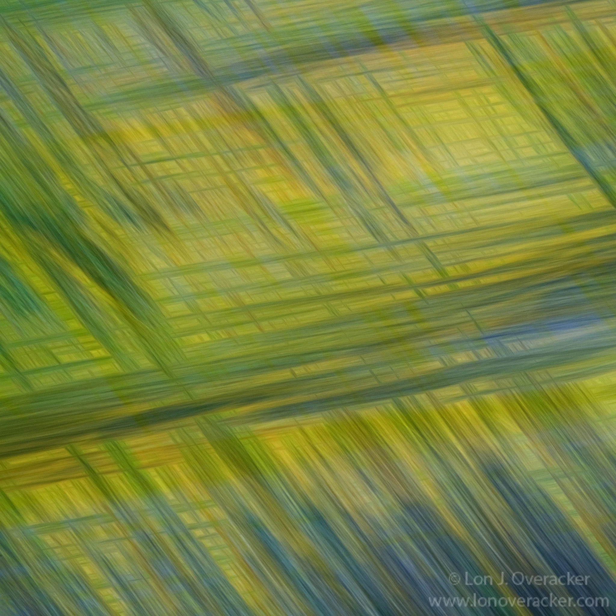 lon_icm_abstracttextures.jpg