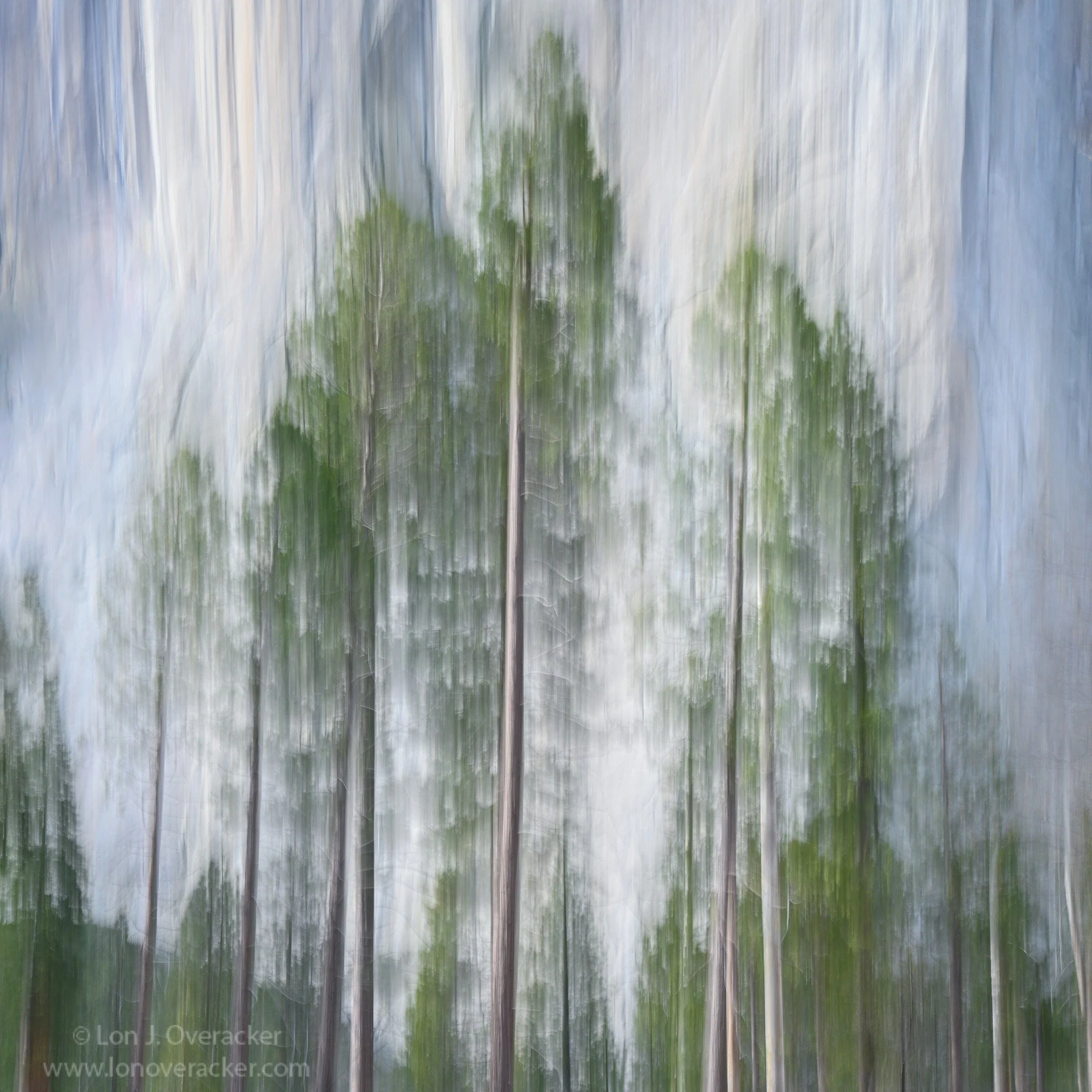 lon_icm_treesElCap.jpg