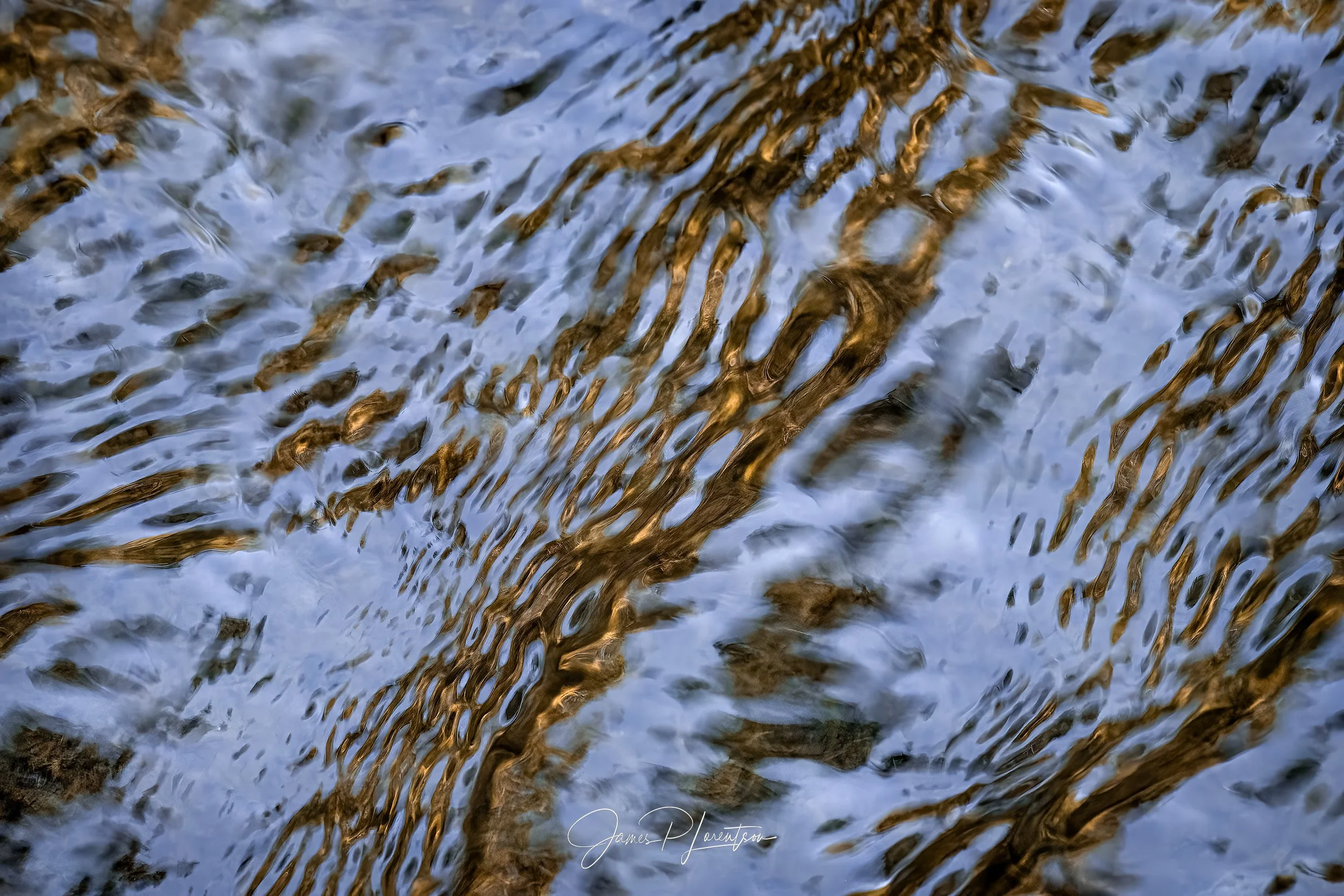 _PHO2670-copy-DeNoiseAI-raw-2-Edit-sharpened.jpg