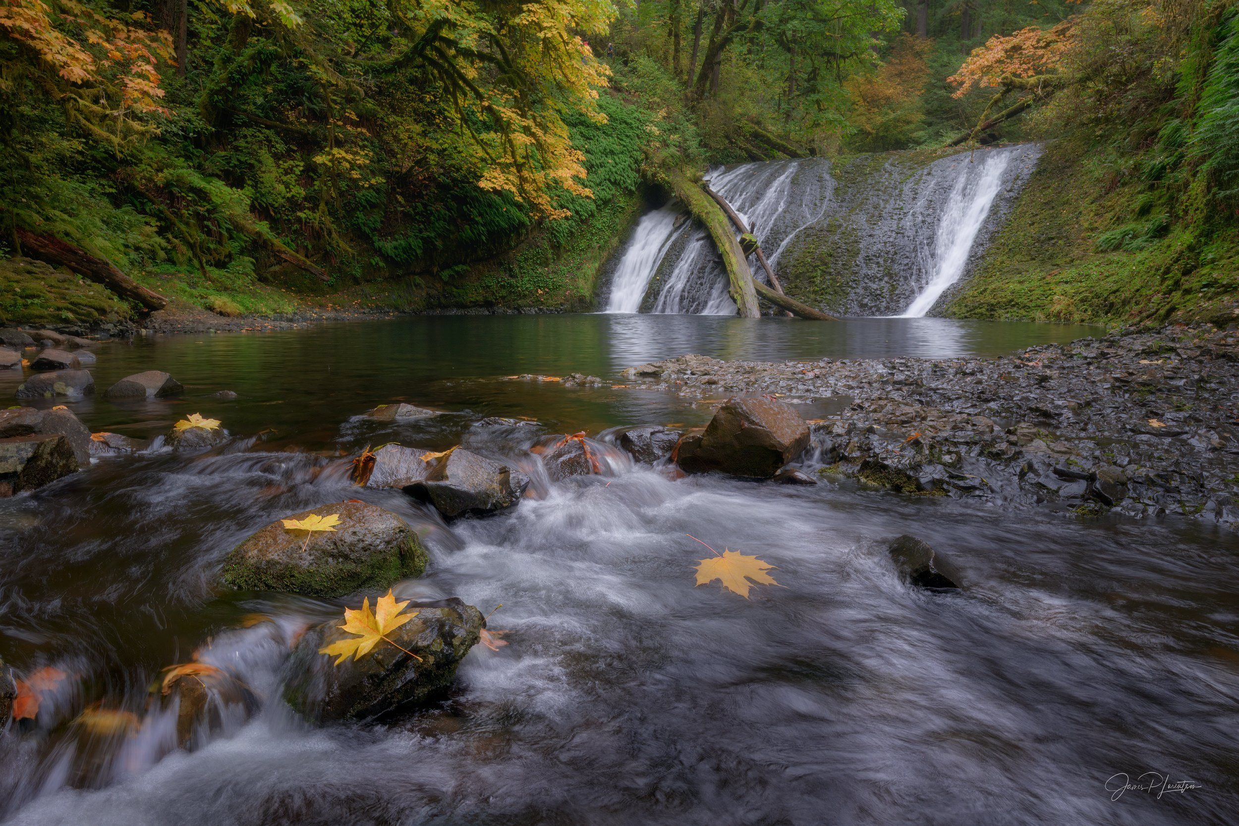 _Z8P9051-Edit.jpg