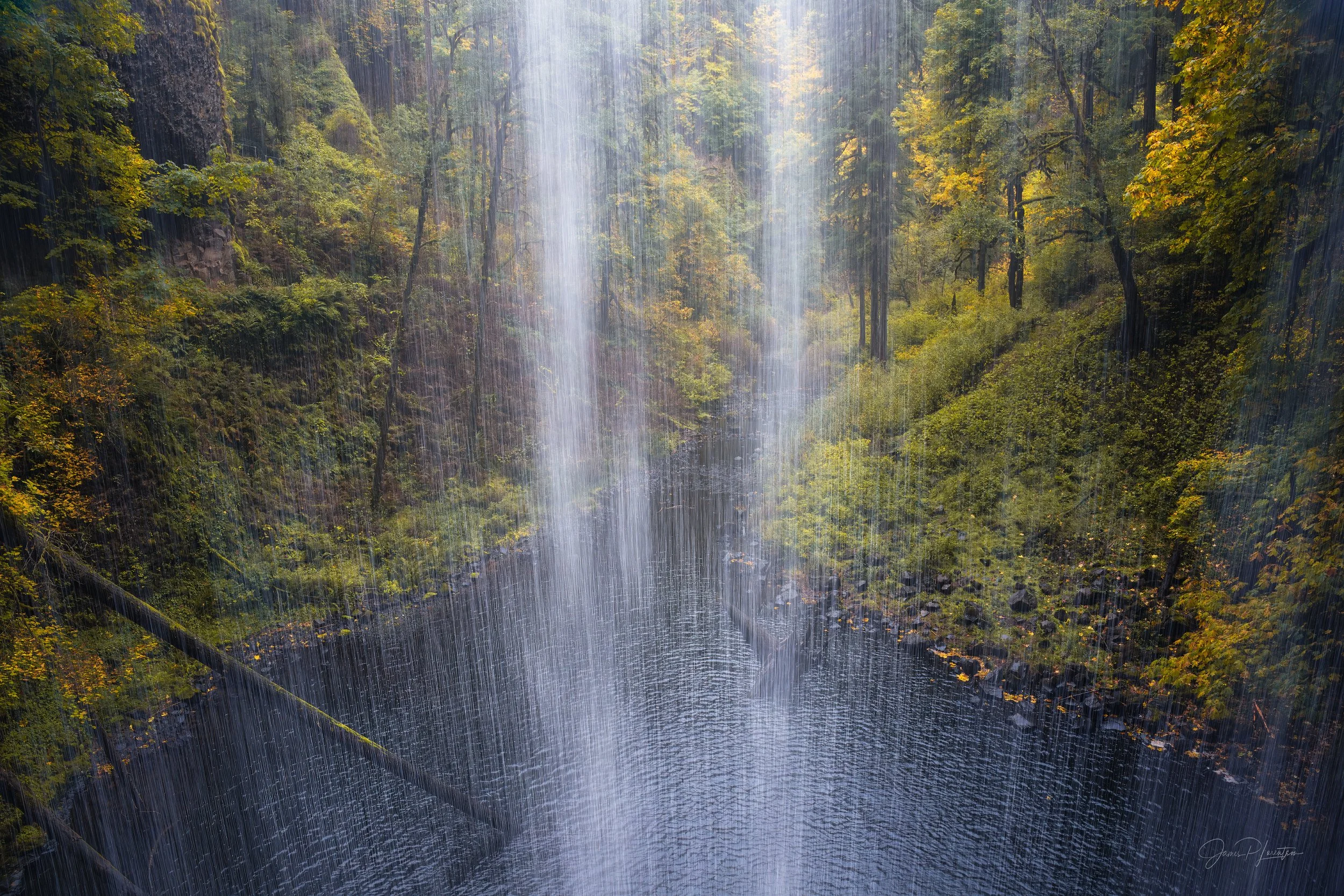 Silver Curtain_Z8P8871-Edit.jpg