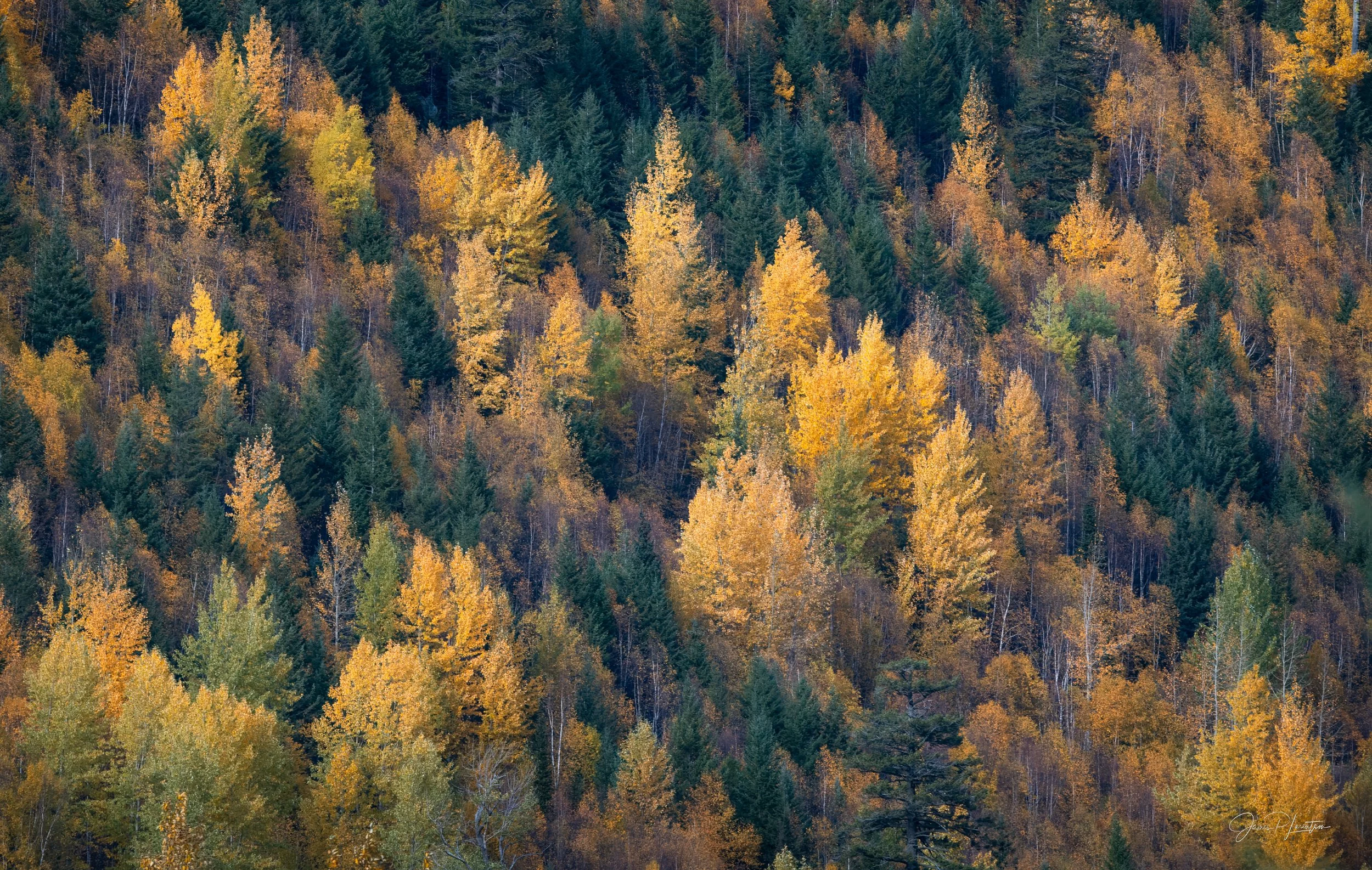 _8500901-Edit.jpg