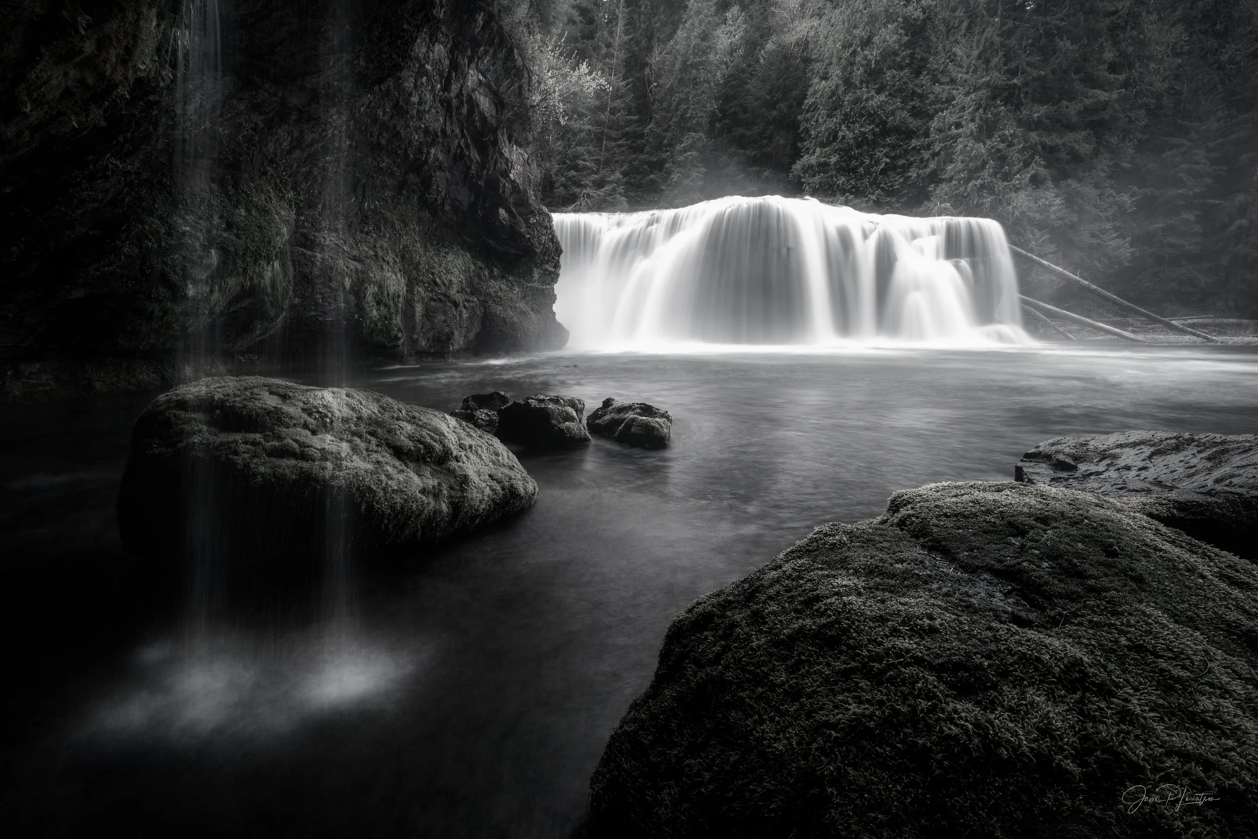 _NZ71553-Edit.jpg