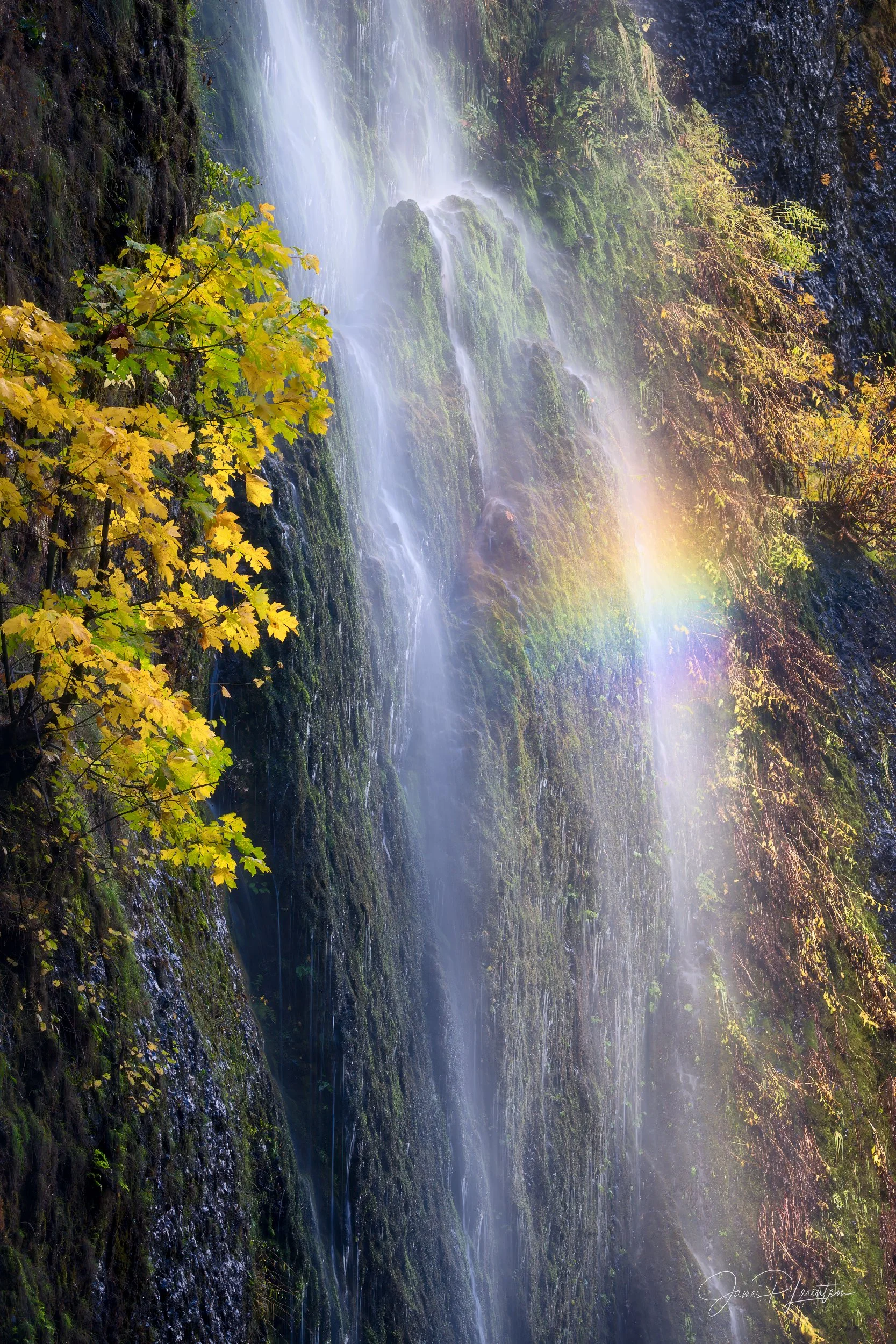 _Z8P1312-Edit.jpg