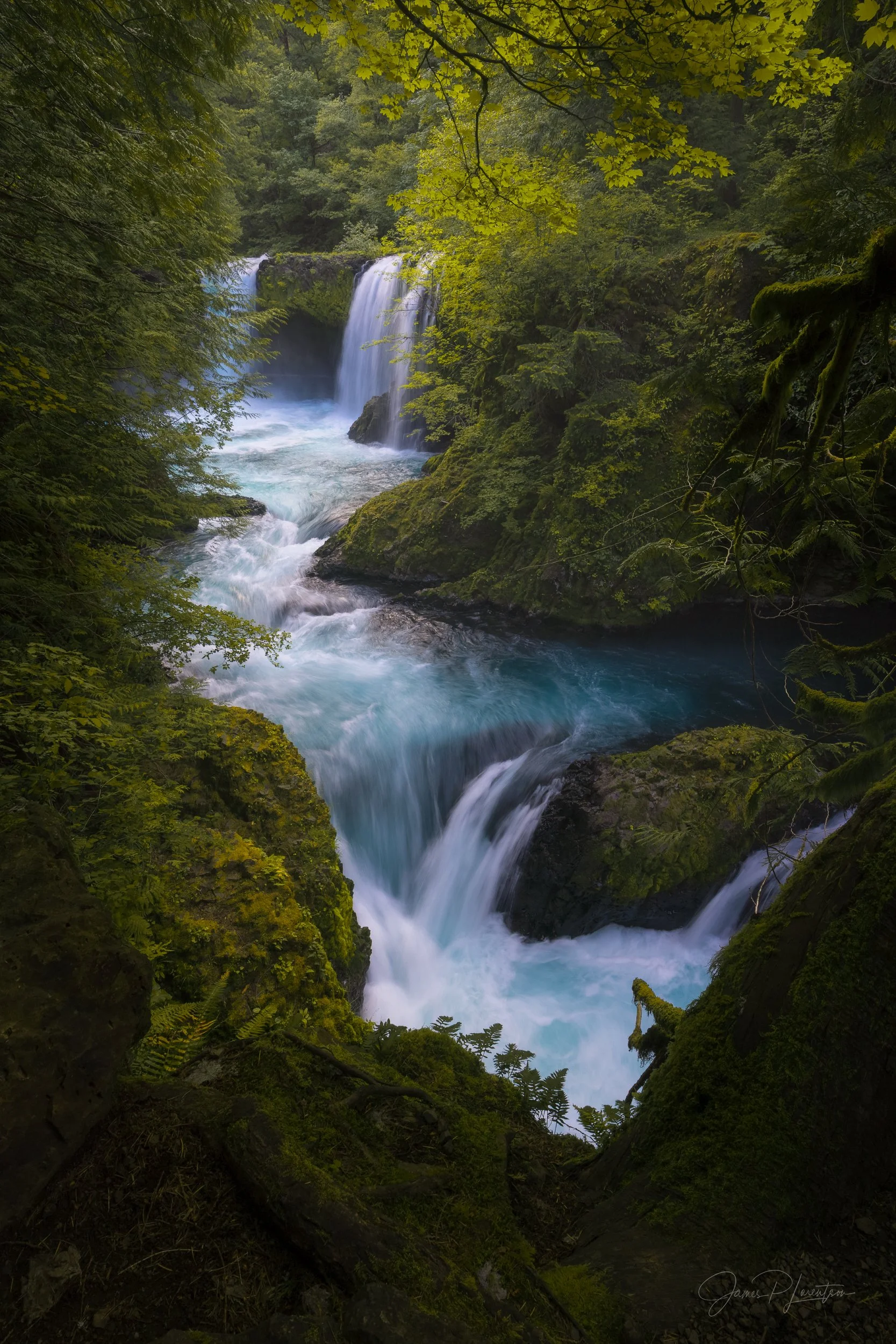 174A3578-Edit-Edit.jpg