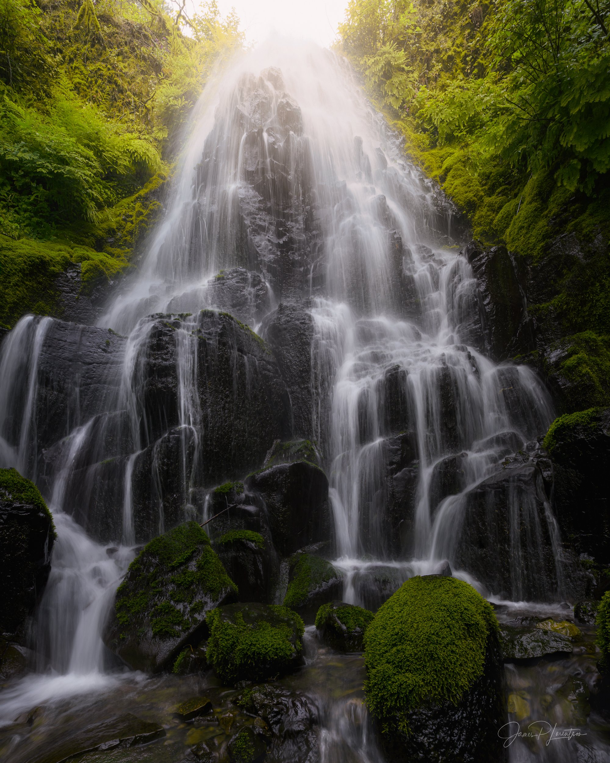 _NZ82412-Edit.jpg