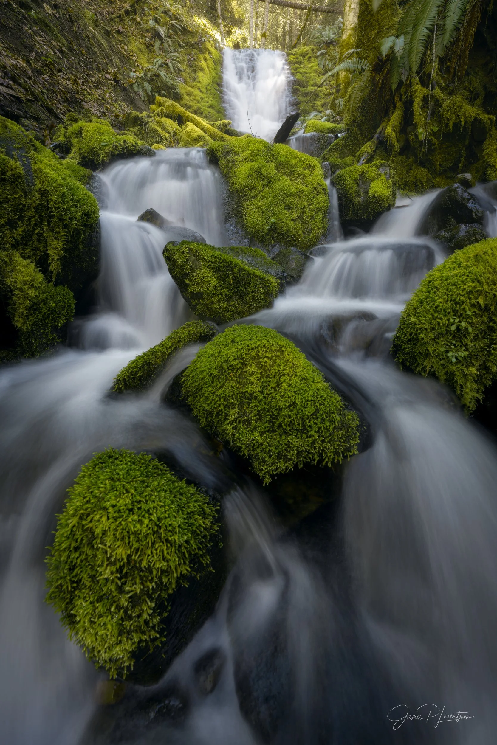 _NZ71613-Edit.jpg