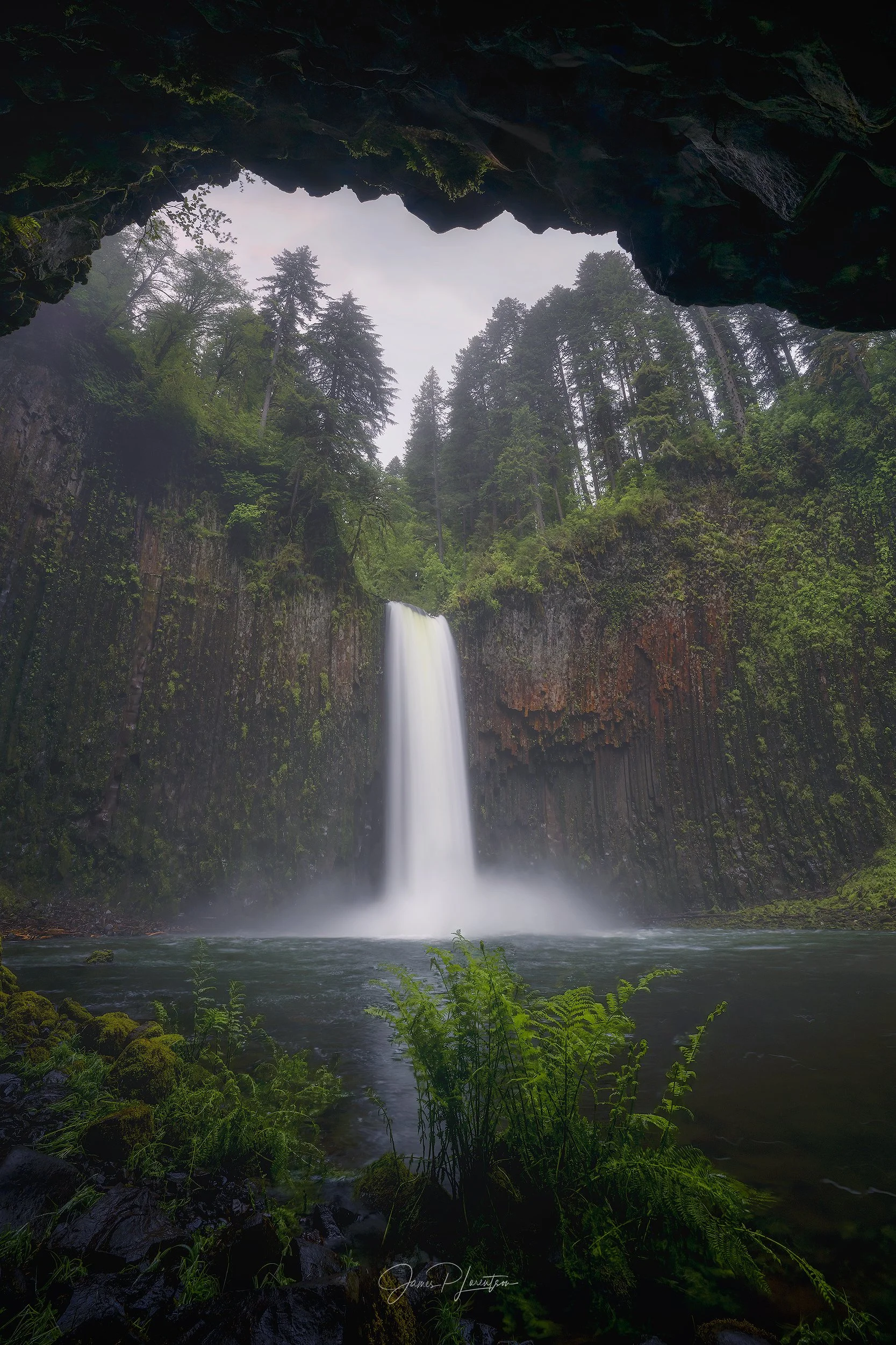 Abiqua_PHO9009-sharpened.jpg