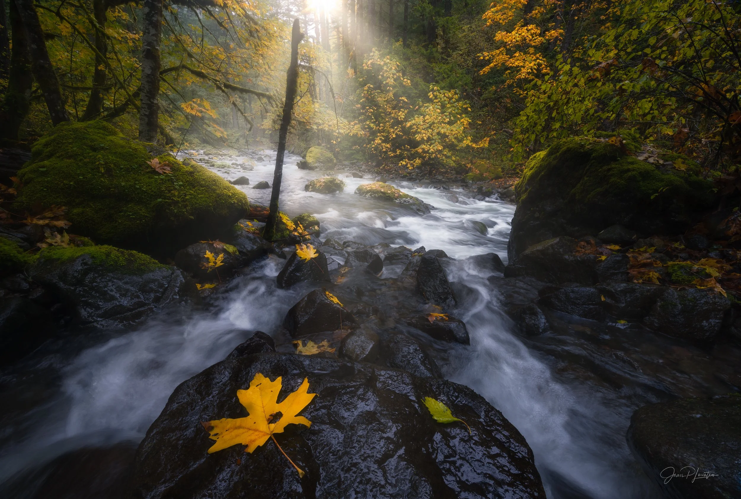 _NZ71048-Edit.jpg