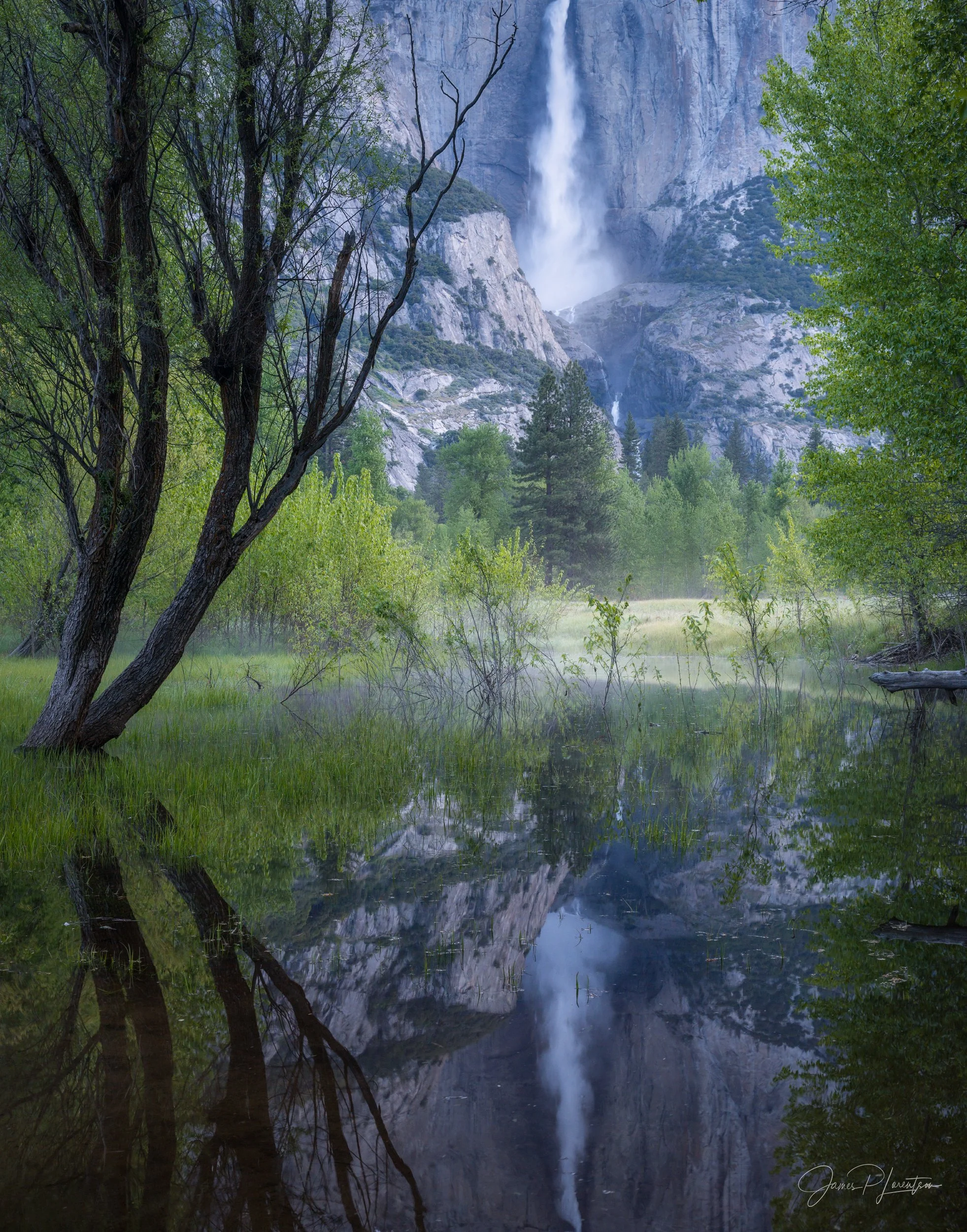 JamesL_Z8P2992-Edit_OhYosemite.jpg