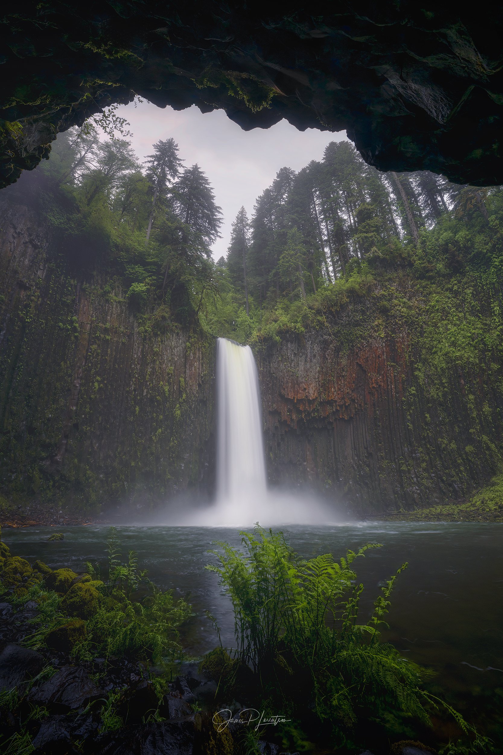 Abiqua_PHO9009-sharpened.jpg