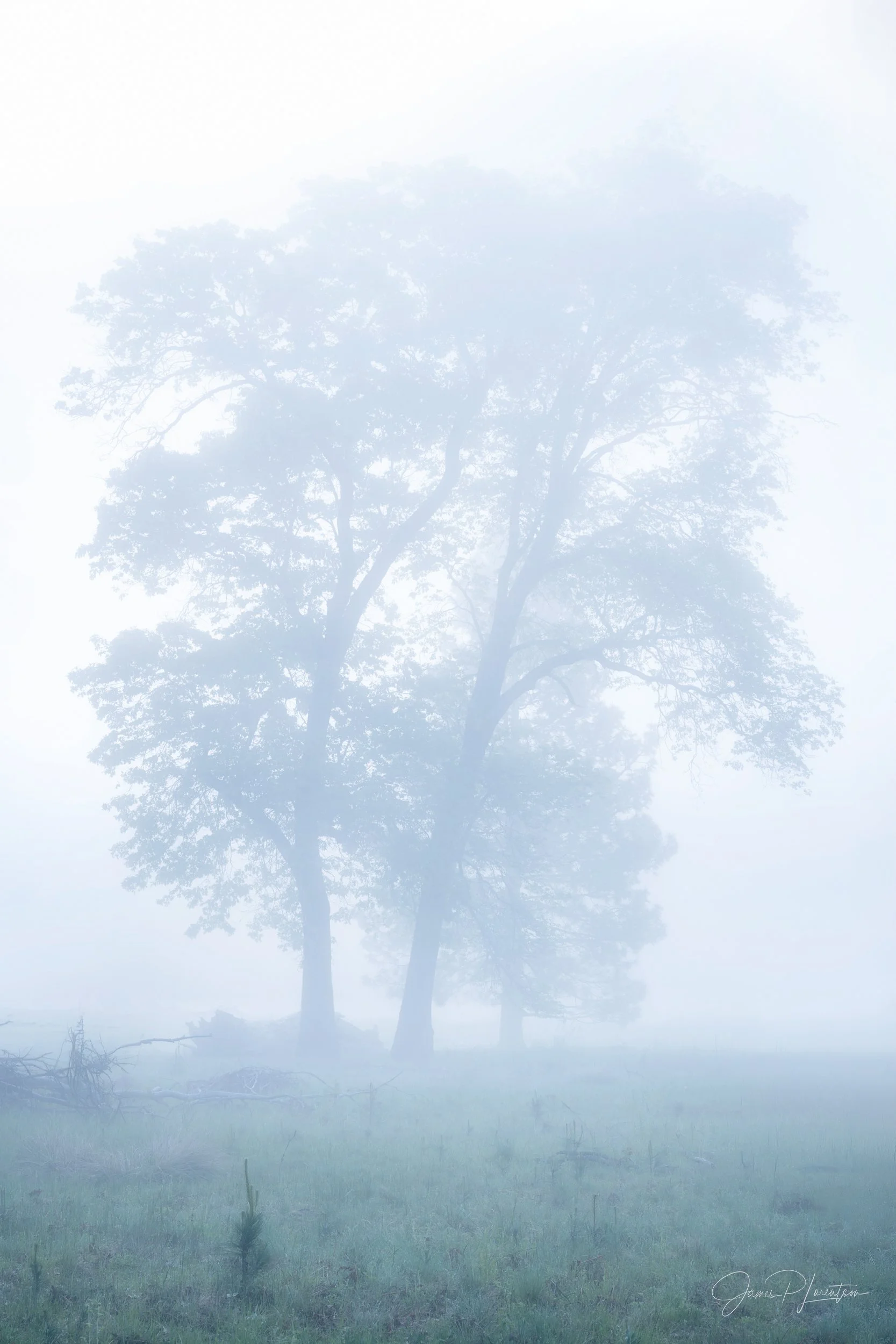 Apparition