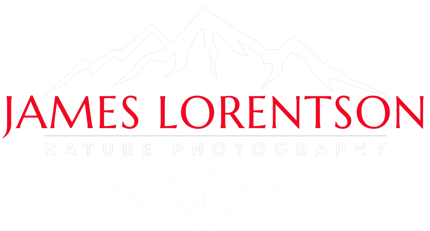 James Lorentson Photography: Nature Photography Workshops &amp; Fine Art Prints