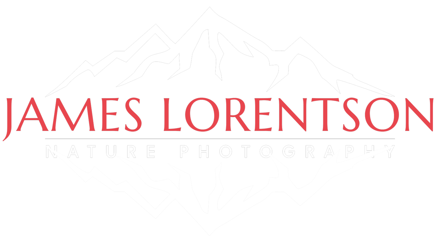 James Lorentson Photography: Nature Photography Workshops &amp; Fine Art Prints