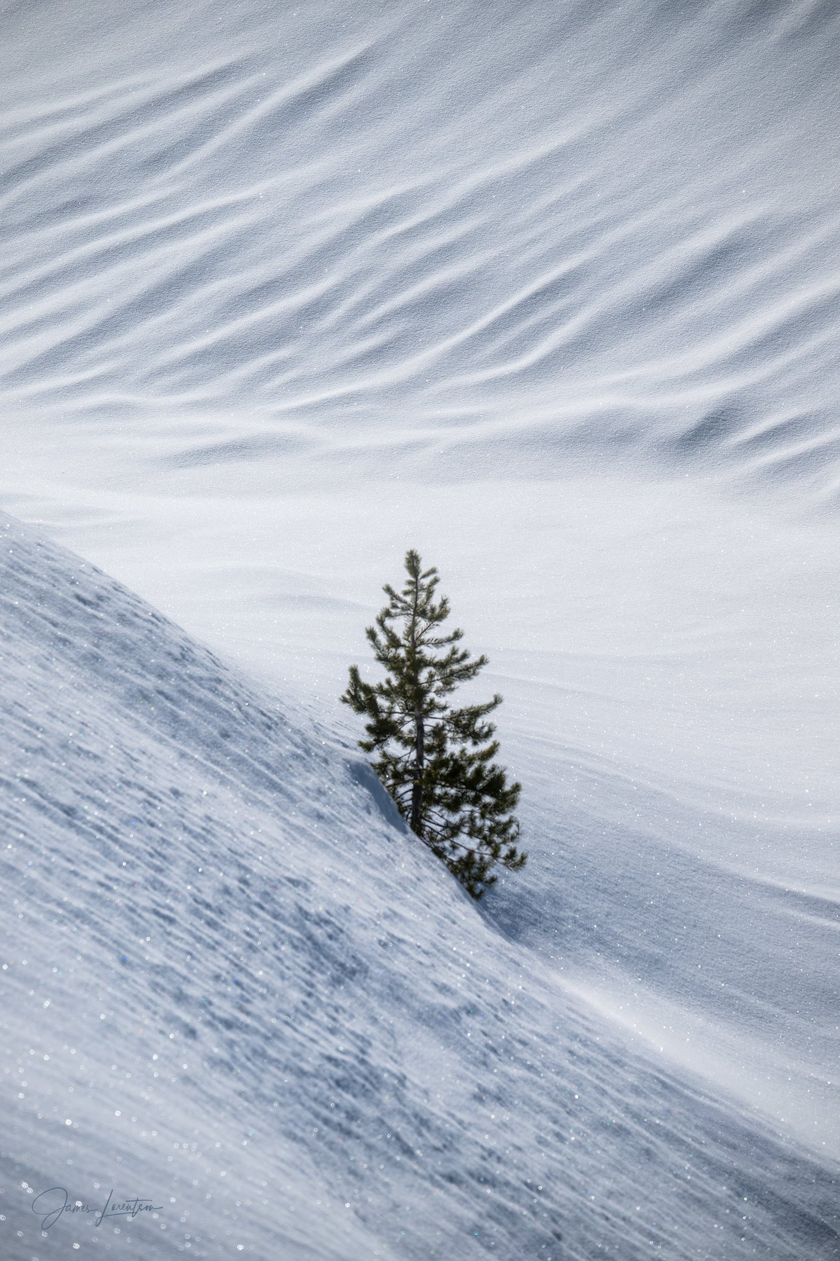_PHO3869-Edit-sharpened.jpg