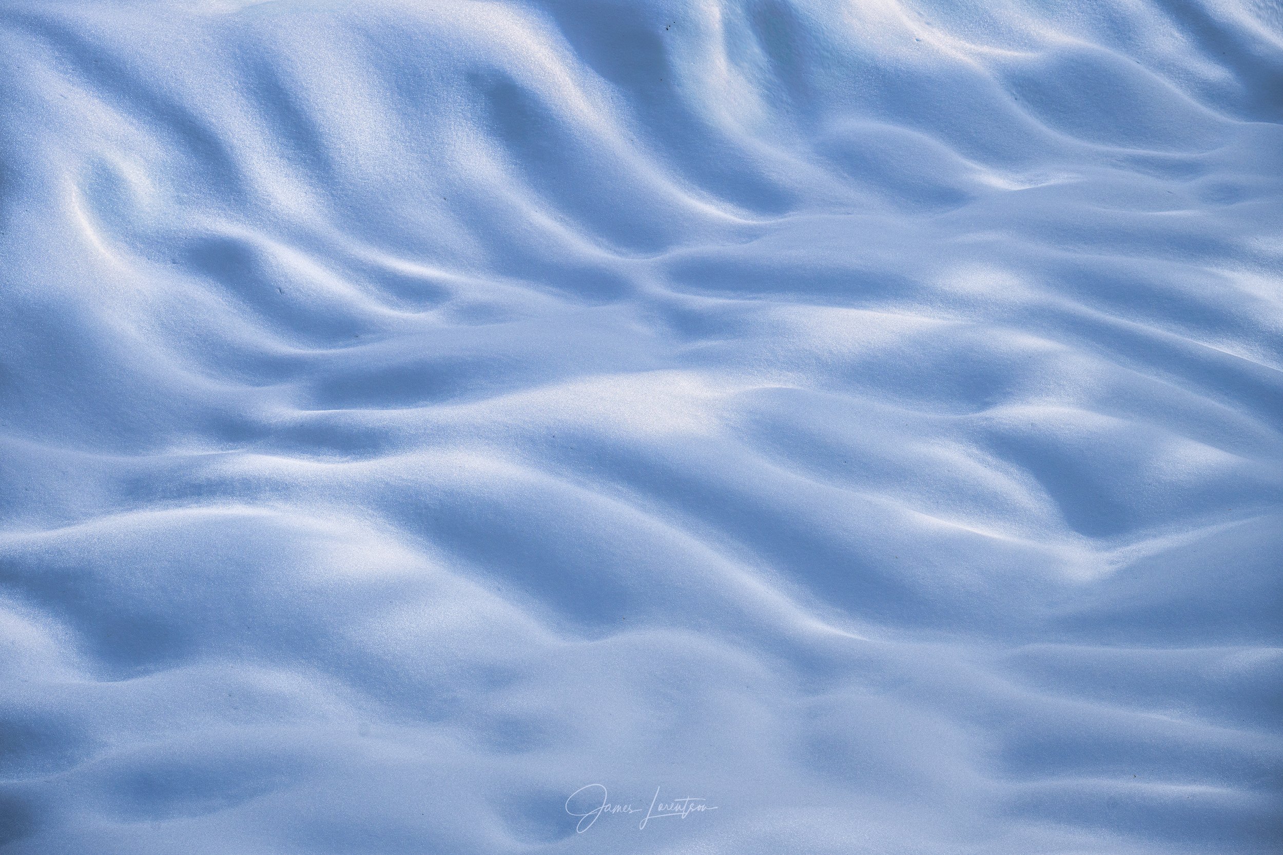 _PHO9919-Edit-sharpened.jpg