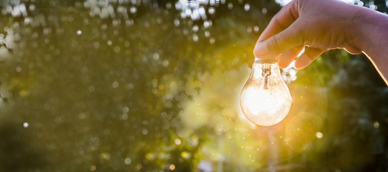 handbulb1.jpg