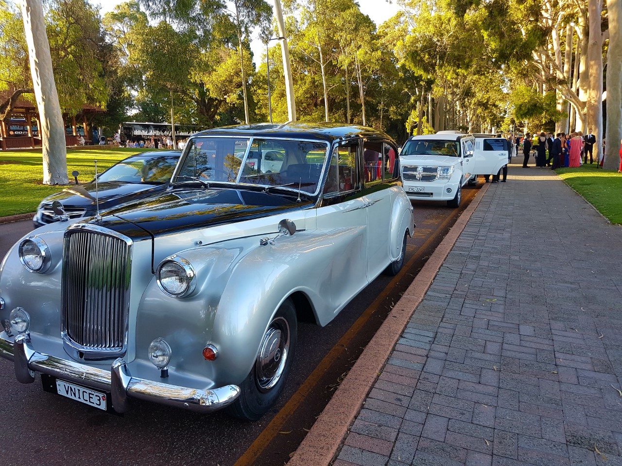 Very Nice Classics Cars & Limousines