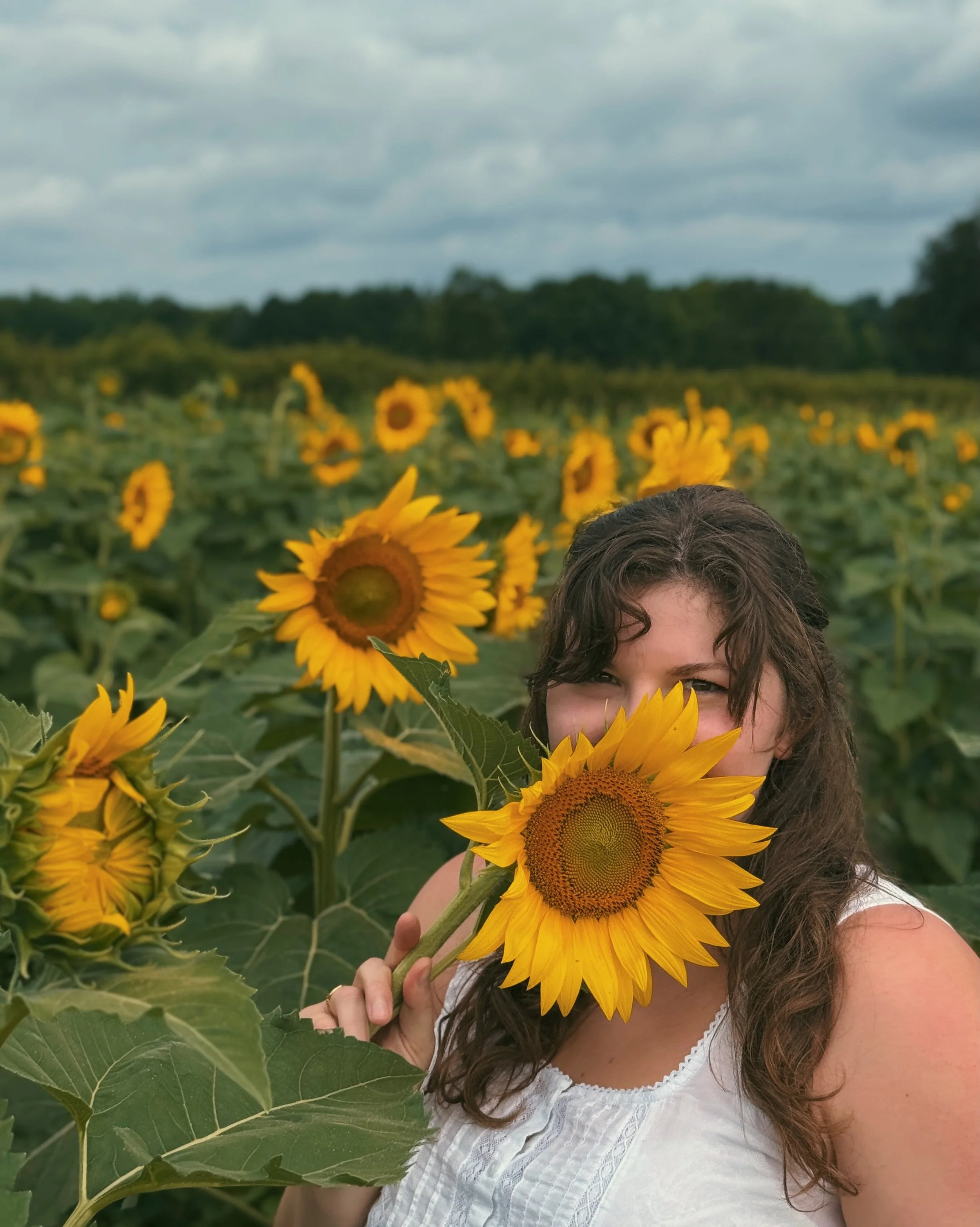 Tomorrow, we will be exactly one month out from the publication of Wolftamer and I&rsquo;m feeling&hellip;

Like running back to this sunflower field and hiding among the stalks. 

But it&rsquo;s happening and that&rsquo;s cool I guess, and if you&rs