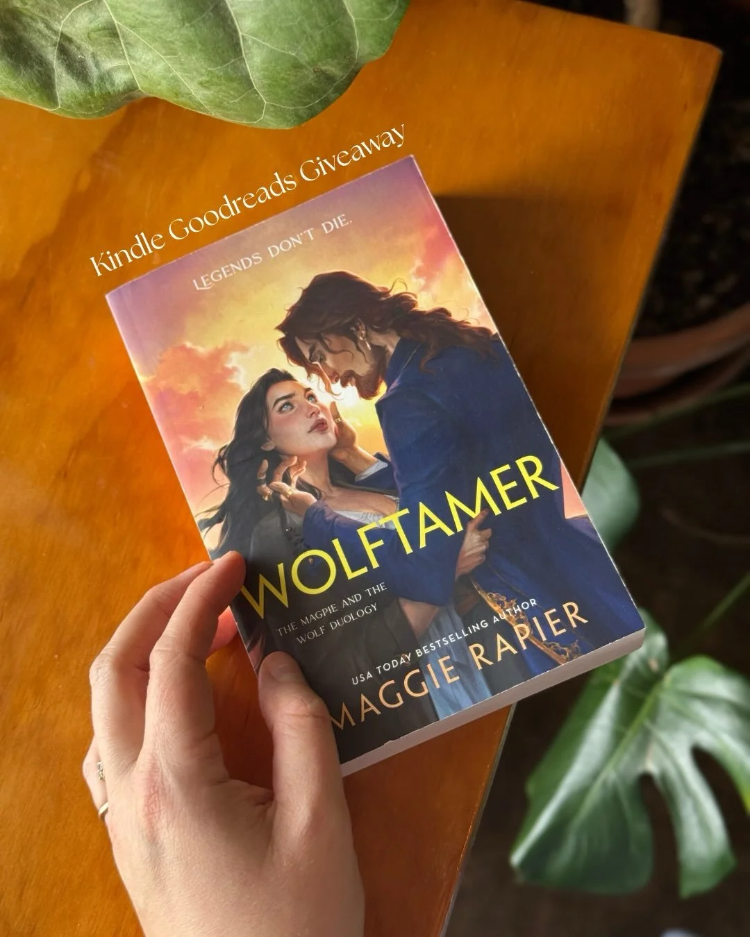 E-Book readers, this is your chance! My publisher @acebookspub is offering 50 copies of WOLFTAMER to kindle users now until August 24th (the day before pub). 

Happy reading!