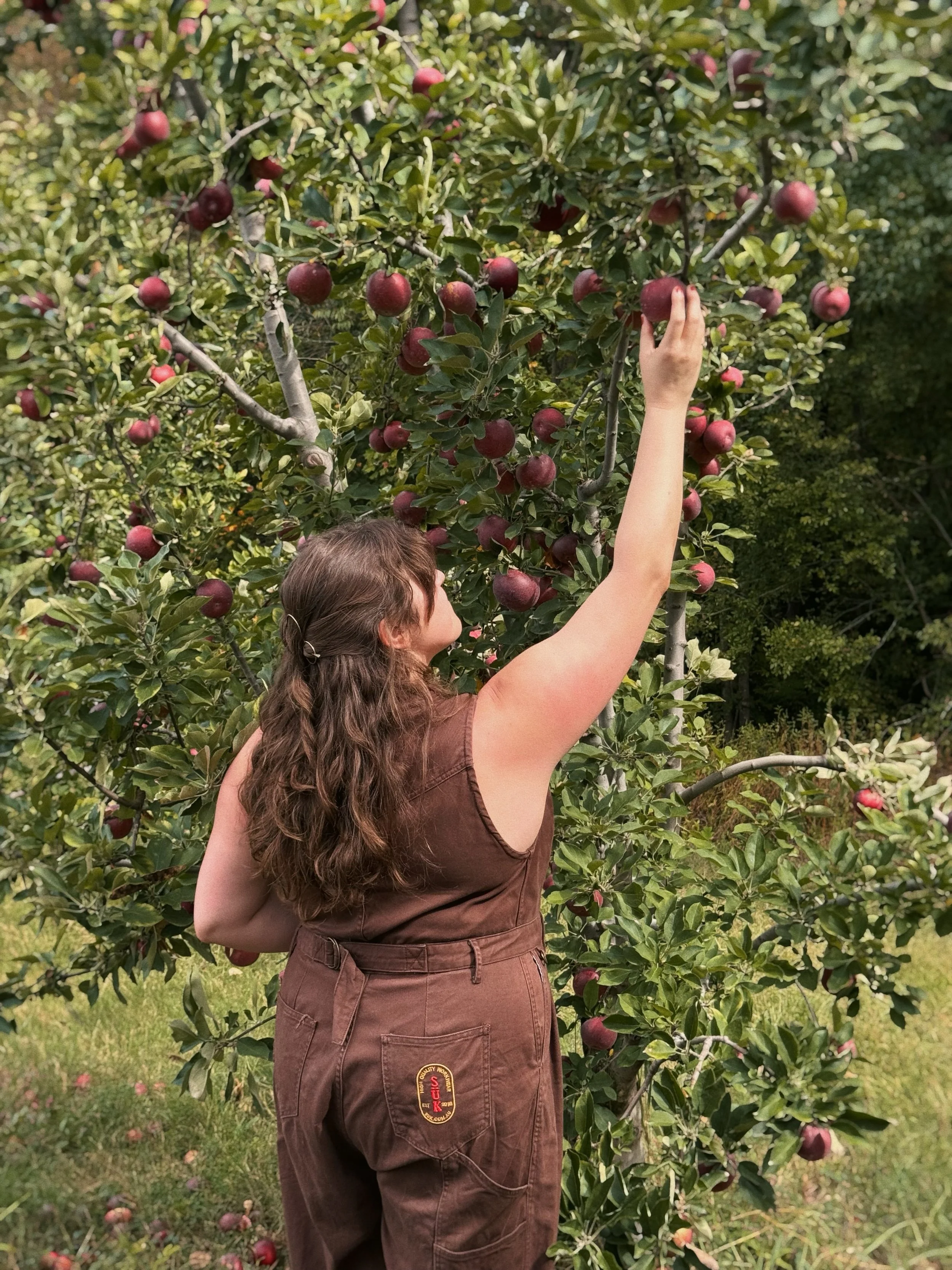 Reclaiming the old story with one bite of forbidden fruit. 

And then another. 

And another, still. 

Until the legend is OURS again&mdash;not his downfall, but our triumph, holding stars in our hands with juice trickling down our fingers, drinking 