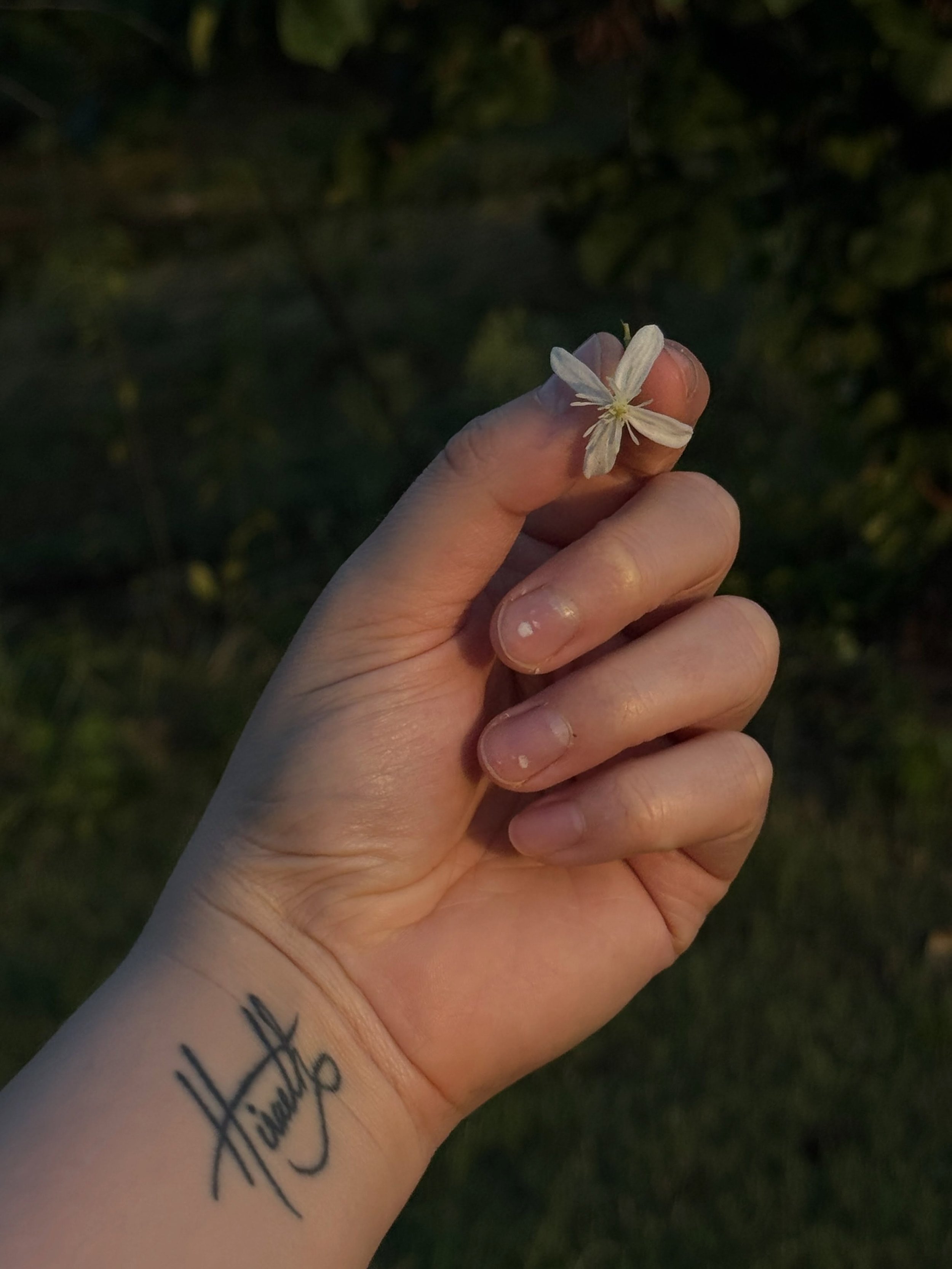 Little glimpses of life lately that have made it feel worth carrying on. 

(Not pictured are the many little squeals, hugs, antics of my nieces and nephew for their own privacy, but my god do they make me happy)