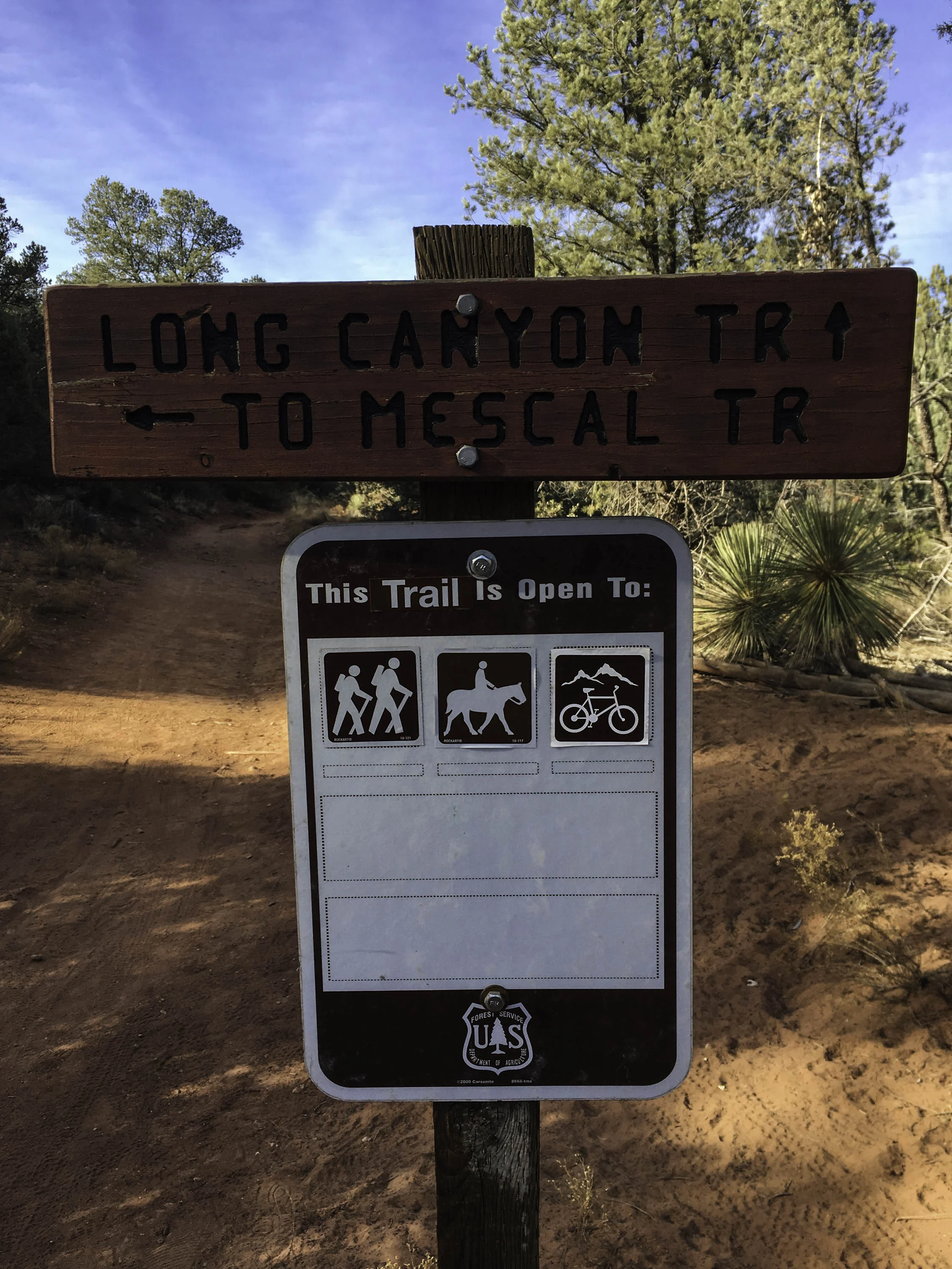 Go straight on Long Canyon Trail.