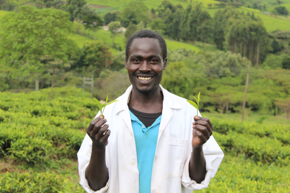 Nicholas loves his work and the steady income he receives. His three daughters are continuing with their education through his tea earnings.JPG