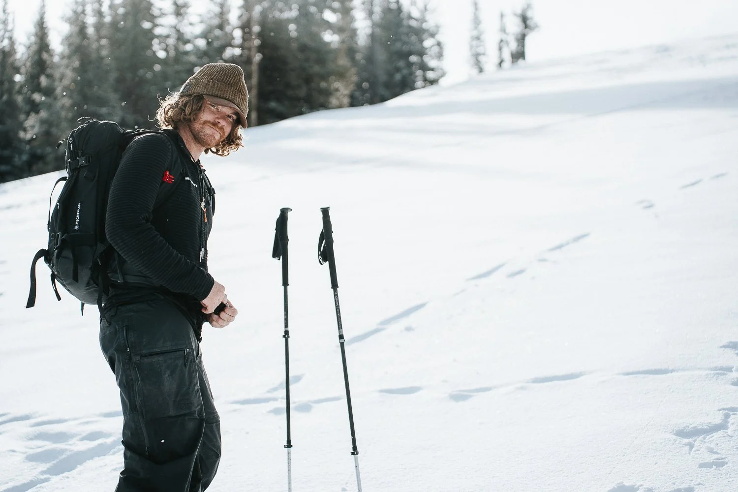 desert dog husky0001.jpg