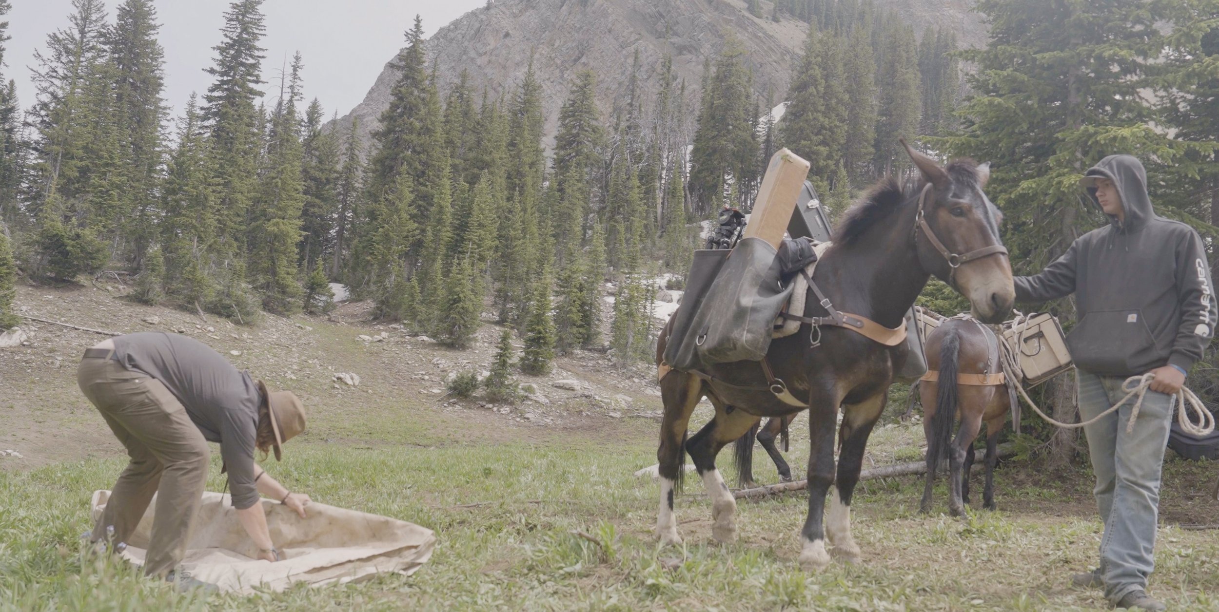 Screenshot 2026-01-03 at 8.26.32 PM.jpg