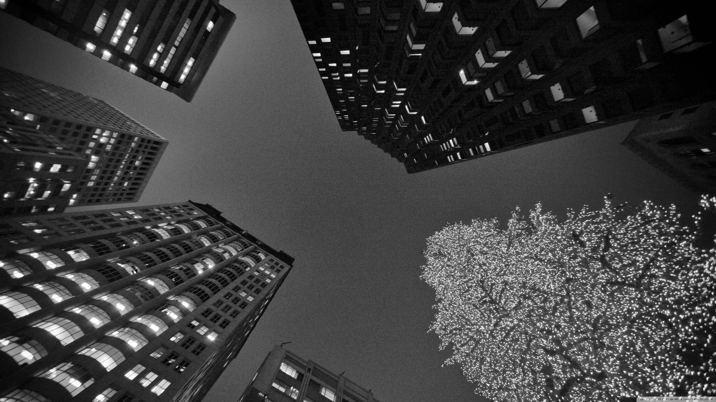 black_and_white_san_francisco_christmas-wallpaper-3554x1999.jpg