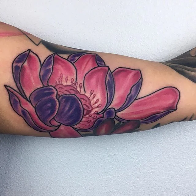 lotuspink.jpg