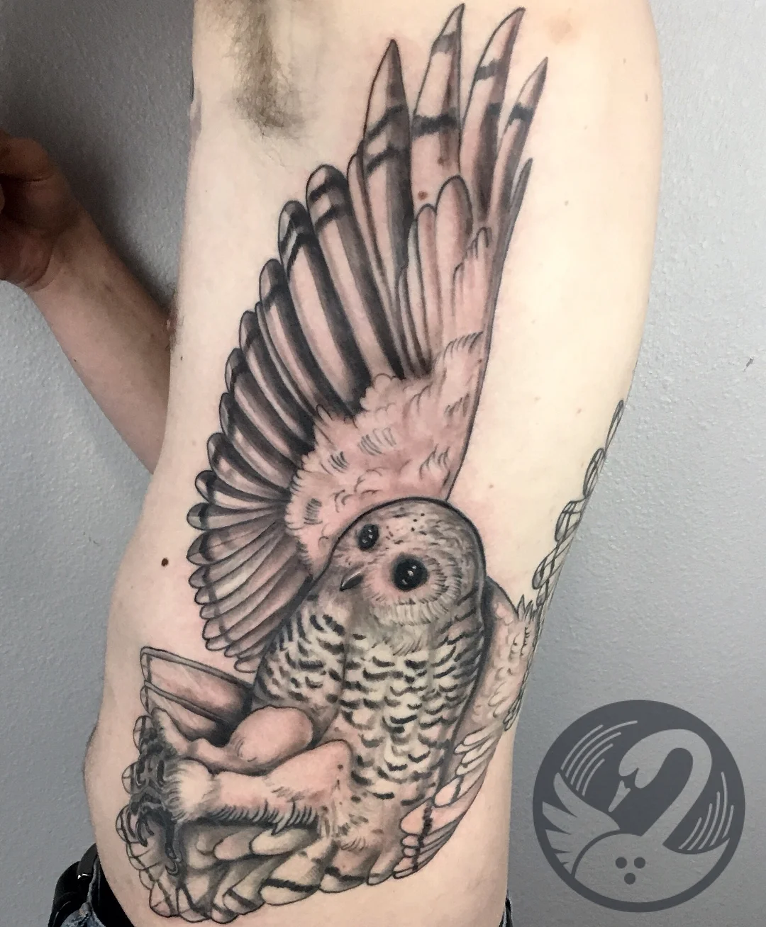 snowowl.jpg