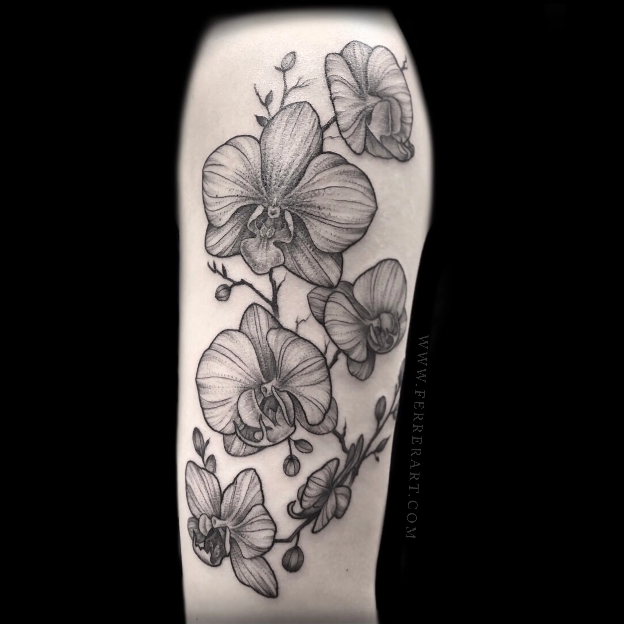 orchids_tattoo_bw1.jpg