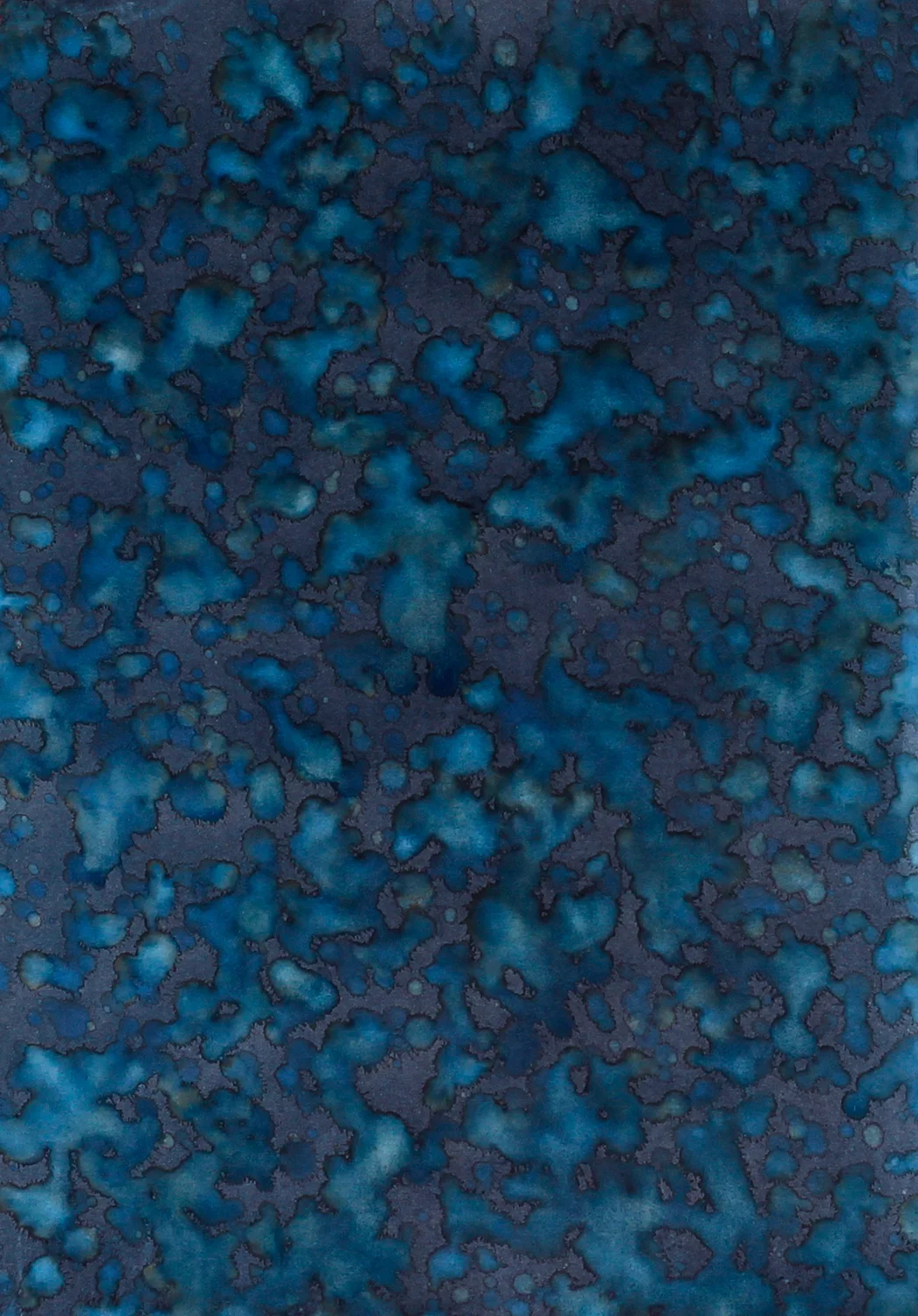 Raja Ampat Cyanotype 3 web.jpg