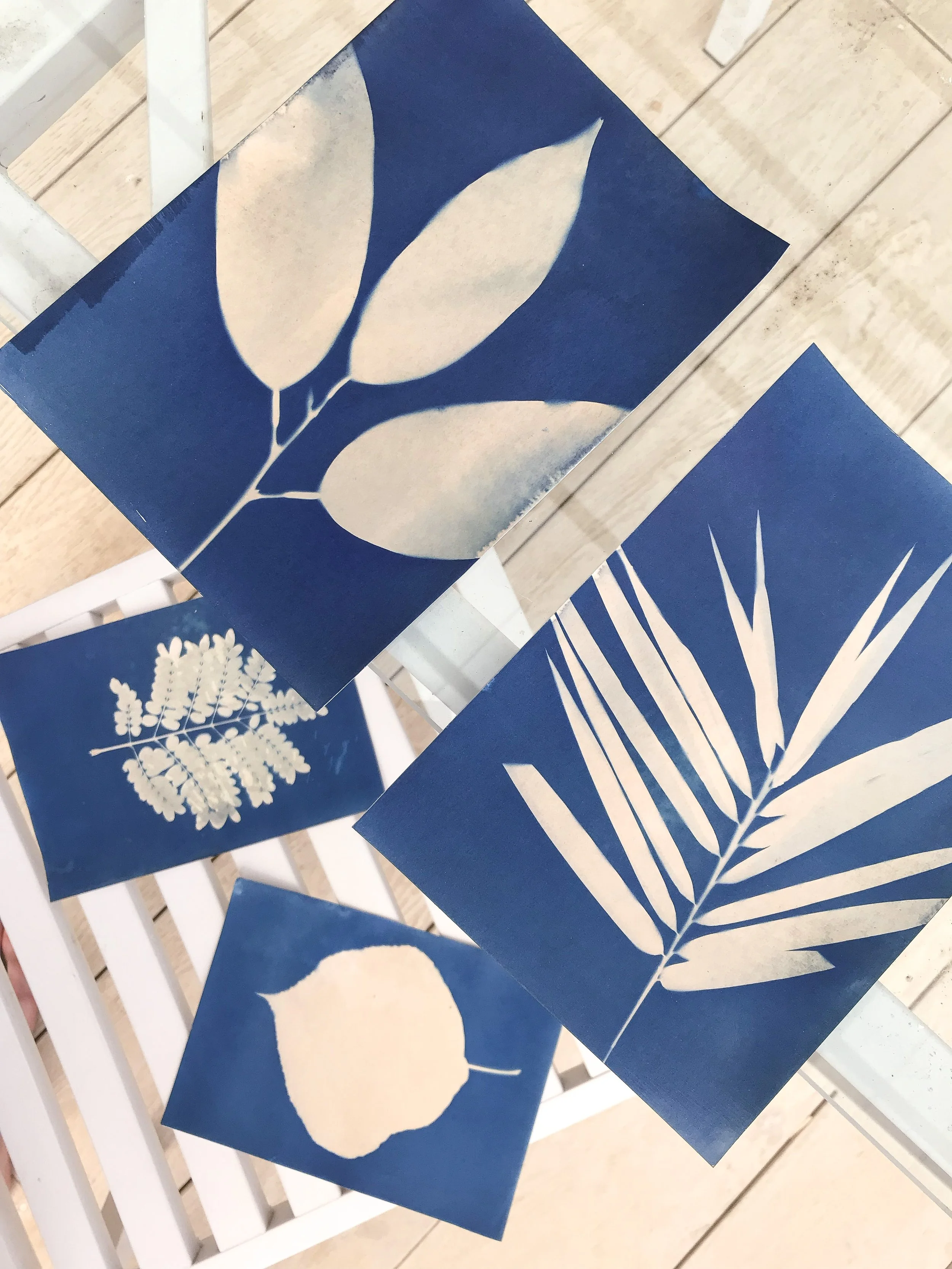 ALTERNATIVE PHOTOGRAPHY - beautiful image making with light but without using any cameras.