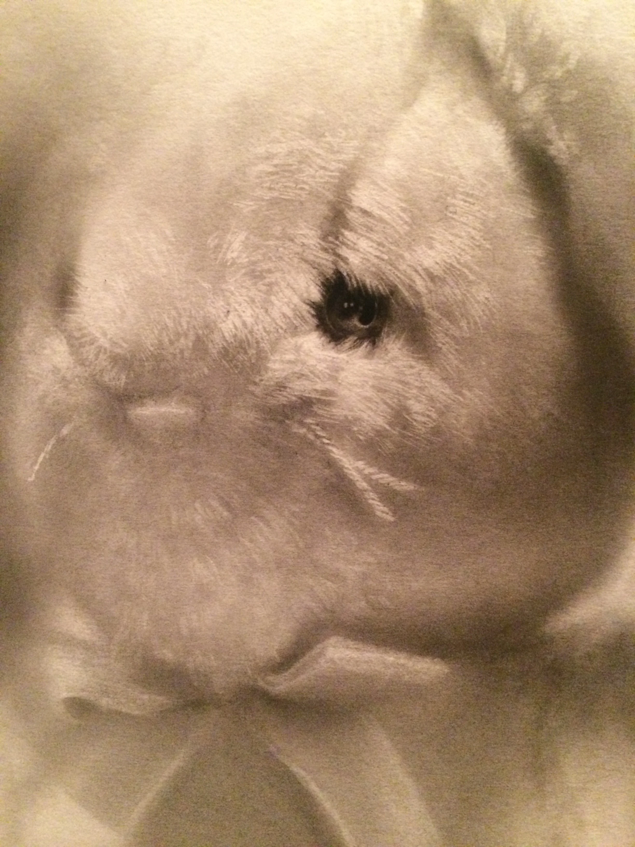 "The Unattainable":  Charcoal, 23 Kt gold, paper, mixed media on board. 36 5/8 x 40 1/2 inches. 2016