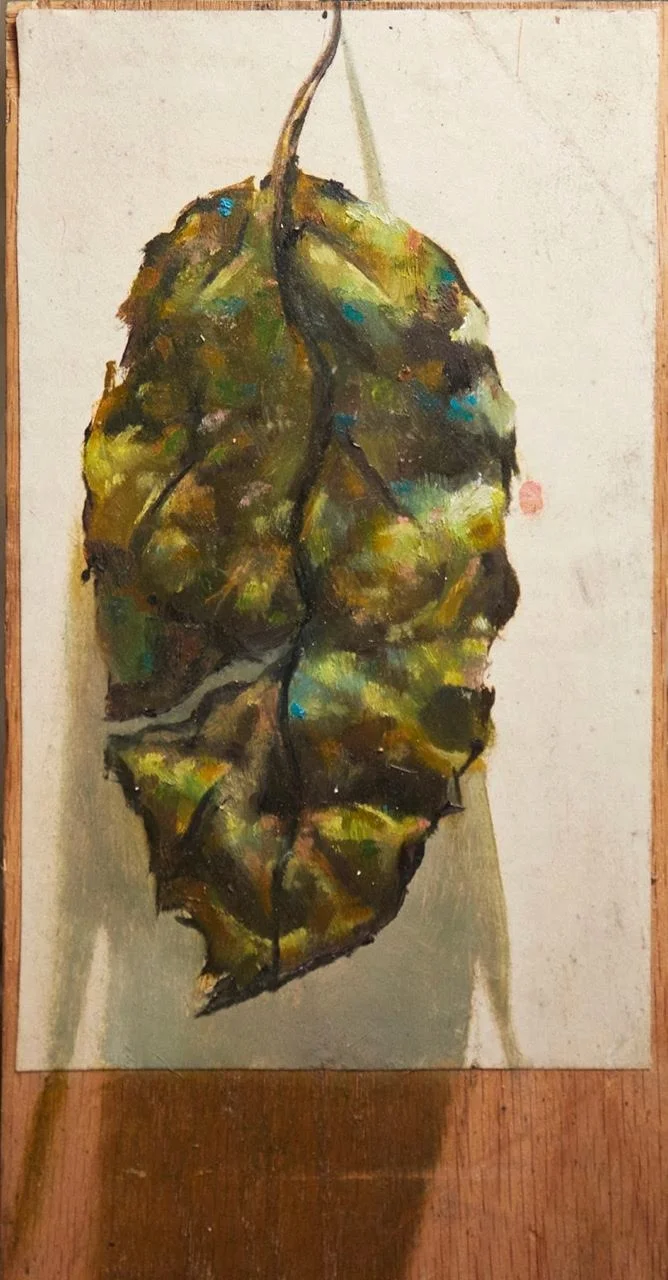 Study of time(leaf aging) Oil on paper on board. 7" x 12" inches. 2017