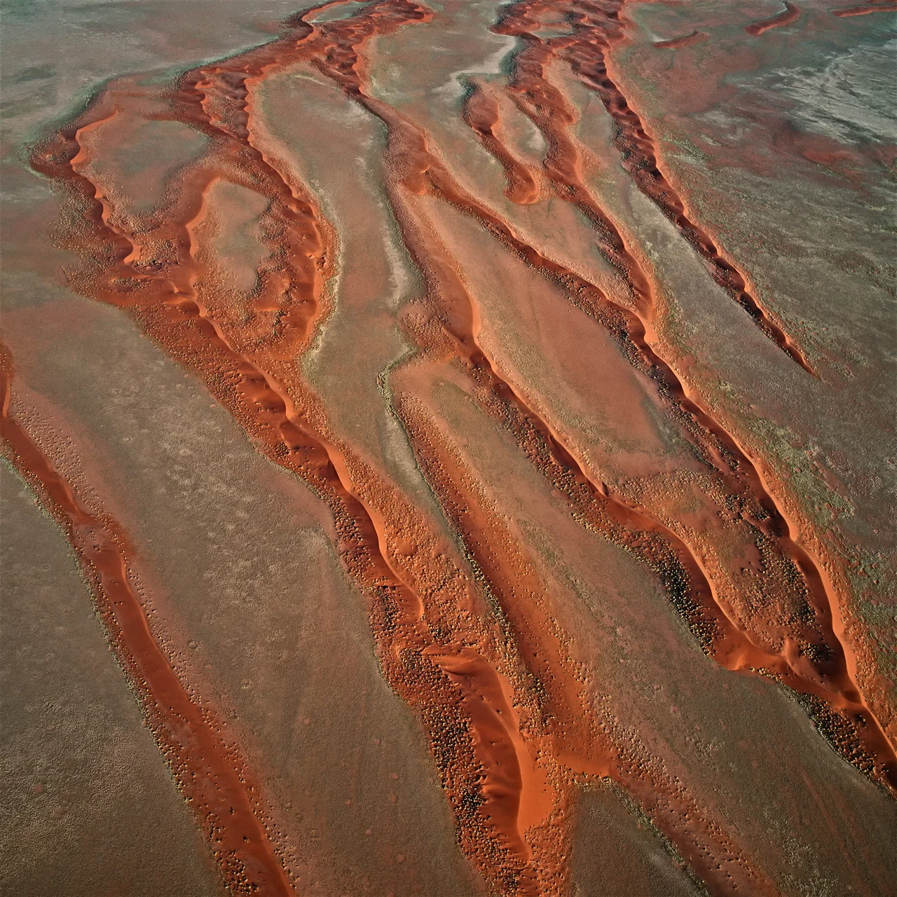 Namib Desert, Namibie