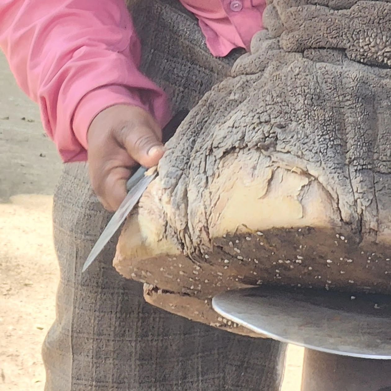 Sure, everyone does footwork, but it doesn't mean that they know what their doing. 🙈  Please consult a qualified professional. 

#elephants #elephant #charity #nonprofit #donate #whateverittakes #India #Thailand #Vietnam #Cambodia #Indonesia #SriLan