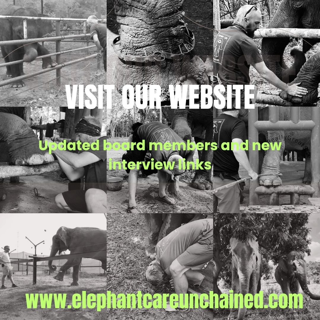 If you haven't checked out our website lately, have a look. We've made a few changes. @elephantcareunchained. Shout out to @danielle4wildlife for all your help. 

www.elephantcareunchained.com. 

Stay tuned for more updates 

#elephants #elephant #ch