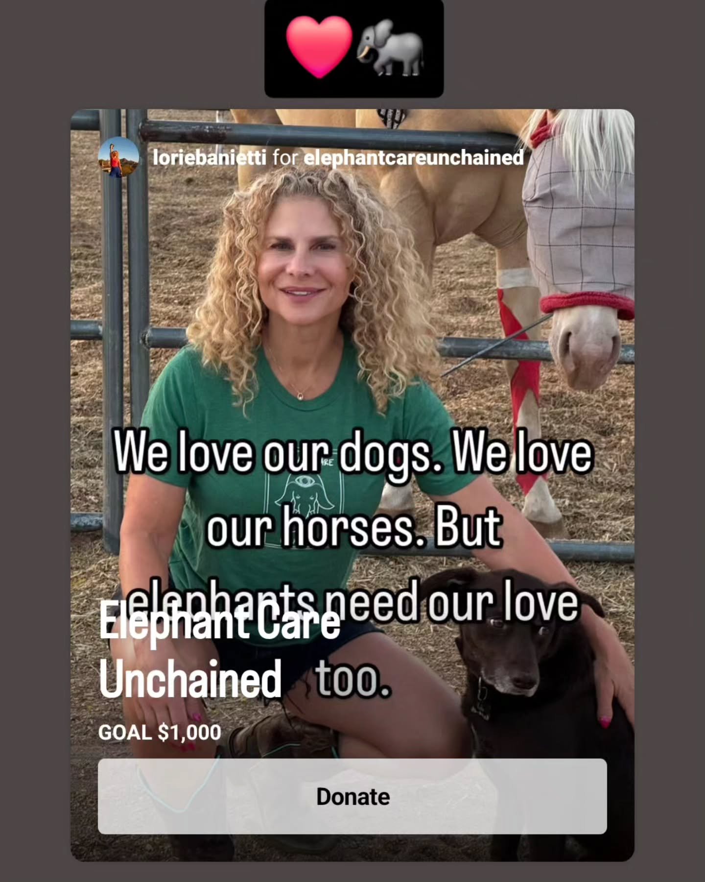 Thank you, @loriebanietti. Help today for those elephants fighting for tomorrow. 

#elephant #elephants #charity #nonprofit #targettraining #positivereinforcement 
#footcare #whateverittakes #donate #India
#Nepal #Thailand #SriLanka #Cambodia #Vietna