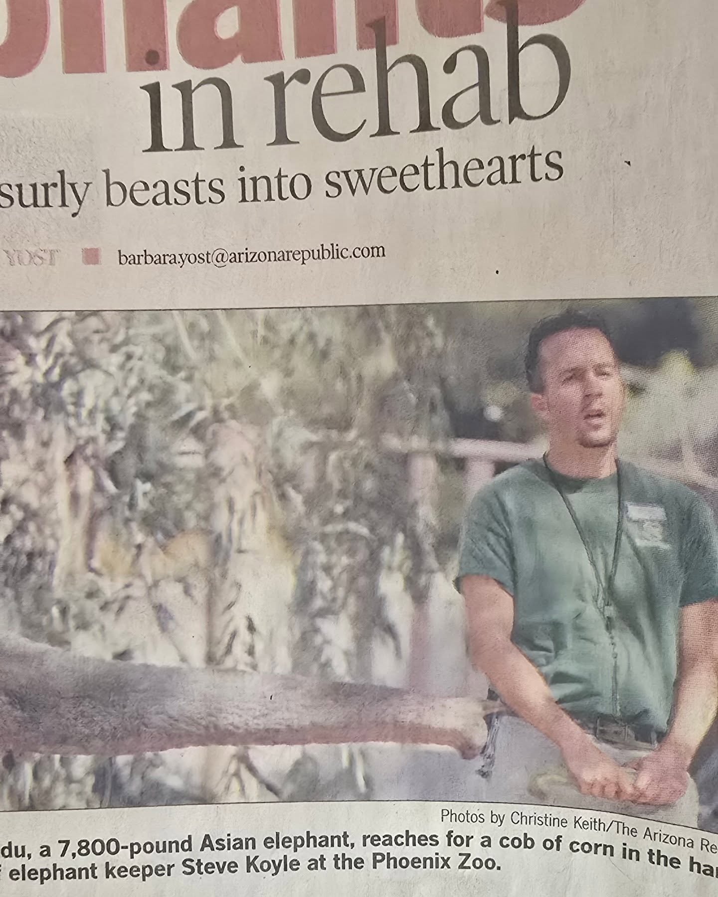 Here's a little flashback 2004. As I go through my things to get rid of the  unnecessary stuff. I came across this gem. What happened to that kid. 🫣

#elephant #elephants #charity #nonprofit #targettraining #positivereinforcement 
#footcare #whateve