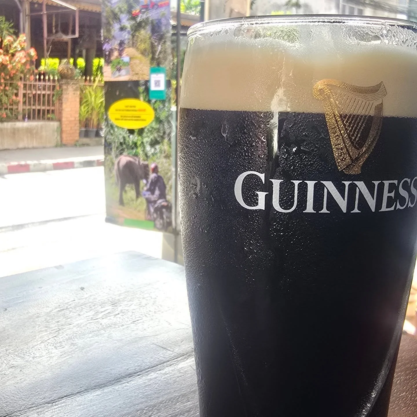 Can't even enjoy a beer without elephants on my mind 🫣. Constantly thinking about these amazing creatures.

 #elephant #elephants #charity #nonprofit #targettraining #positivereinforcement #footcare #whateverittakes #donate #India #Nepal #Thailand #