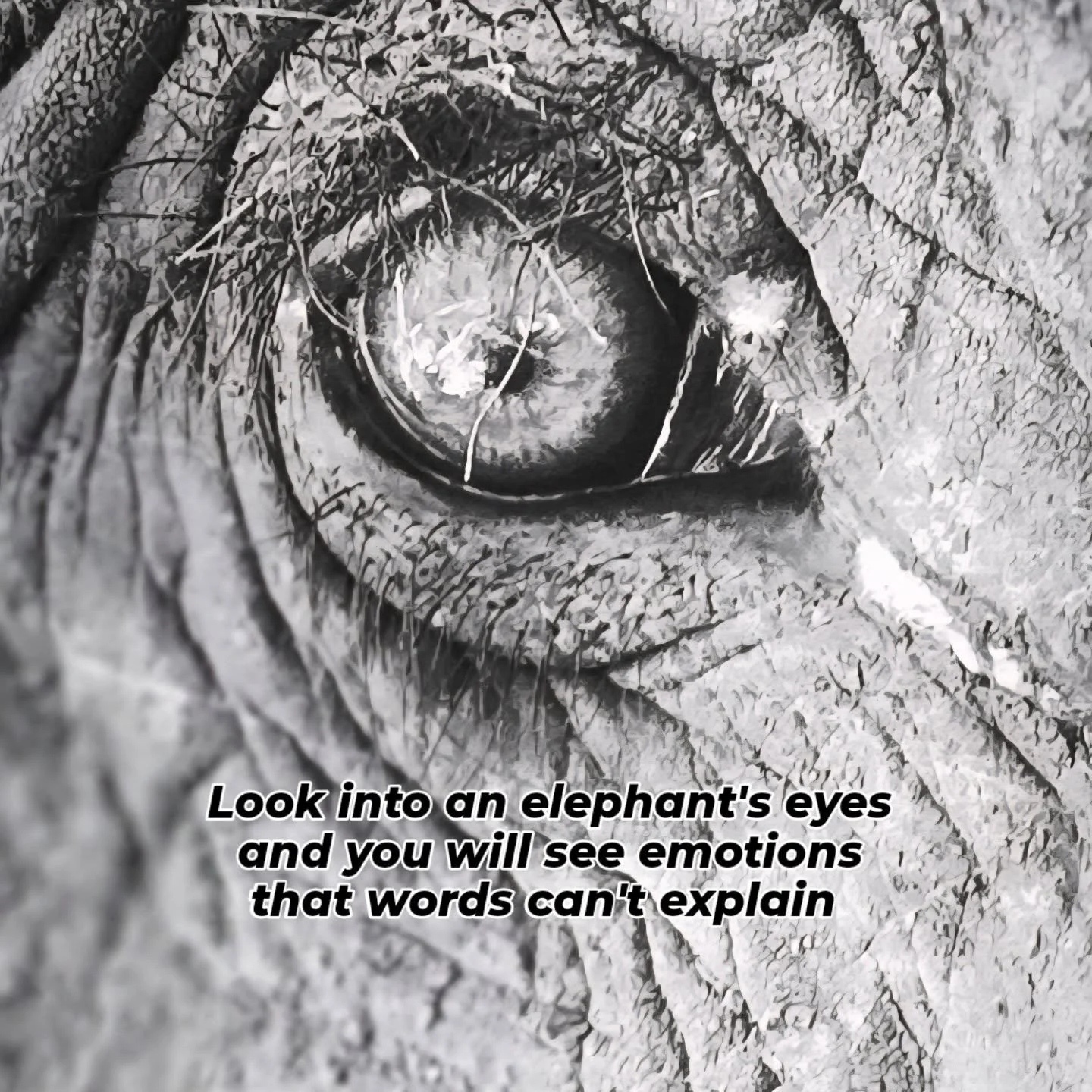 If you know, you know.